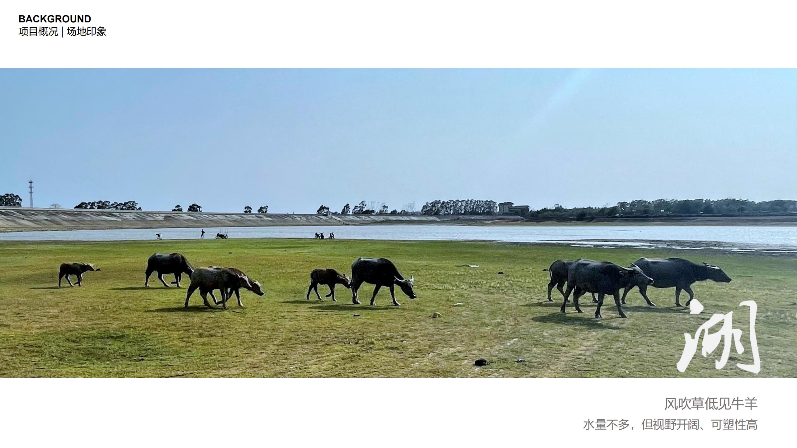 图片[44]-三亚乐东尖峰项目概念规划设计 - 由甫网-由甫网