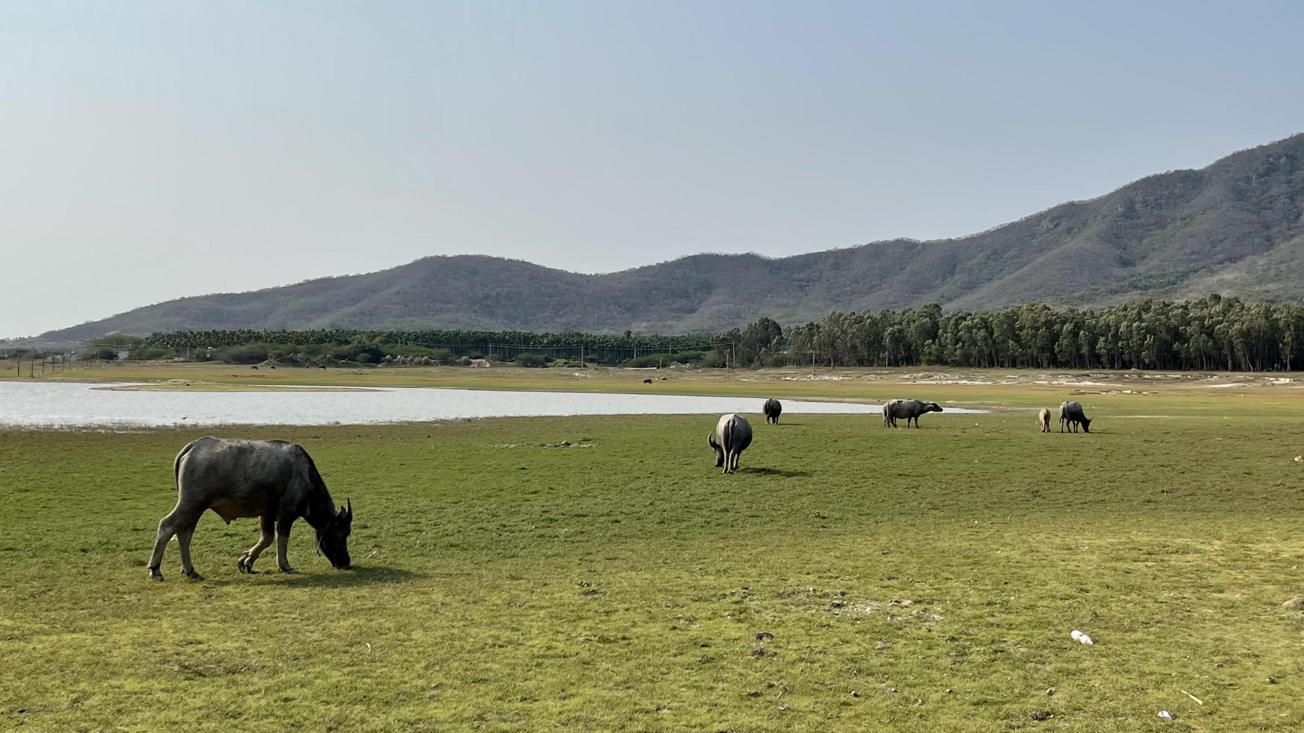 图片[46]-三亚乐东尖峰项目概念规划设计 - 由甫网-由甫网