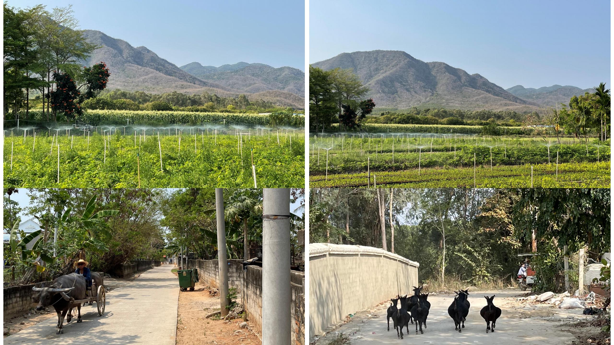 图片[49]-三亚乐东尖峰项目概念规划设计 - 由甫网-由甫网