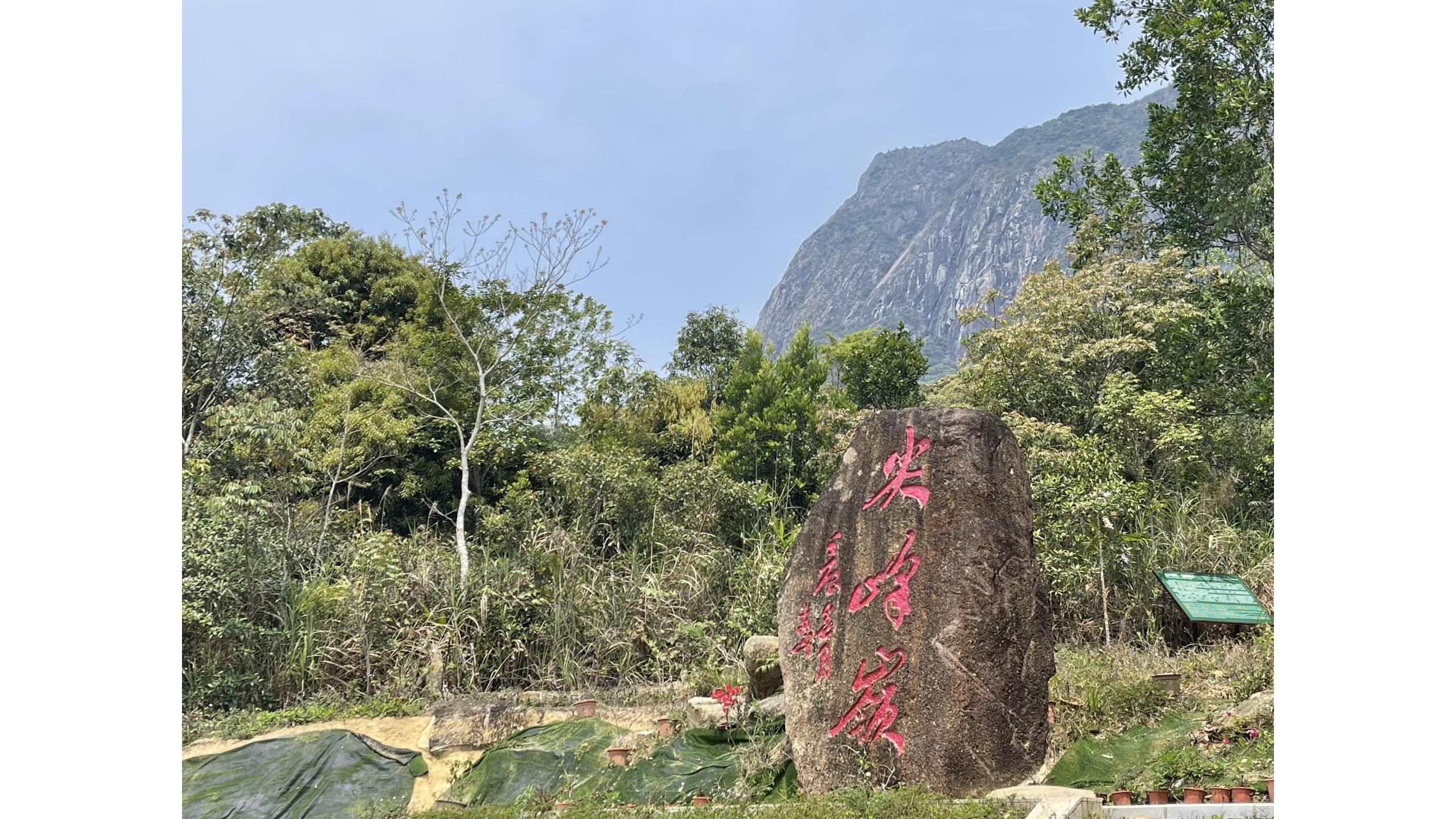 图片[52]-三亚乐东尖峰项目概念规划设计 - 由甫网-由甫网