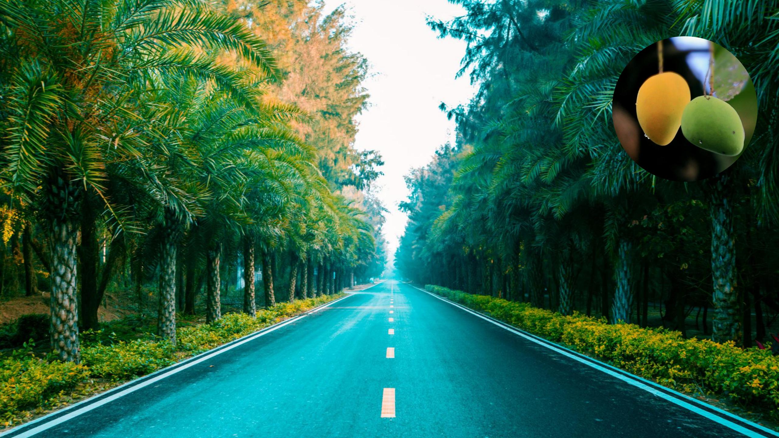 图片[71]-三亚乐东尖峰项目概念规划设计 - 由甫网-由甫网