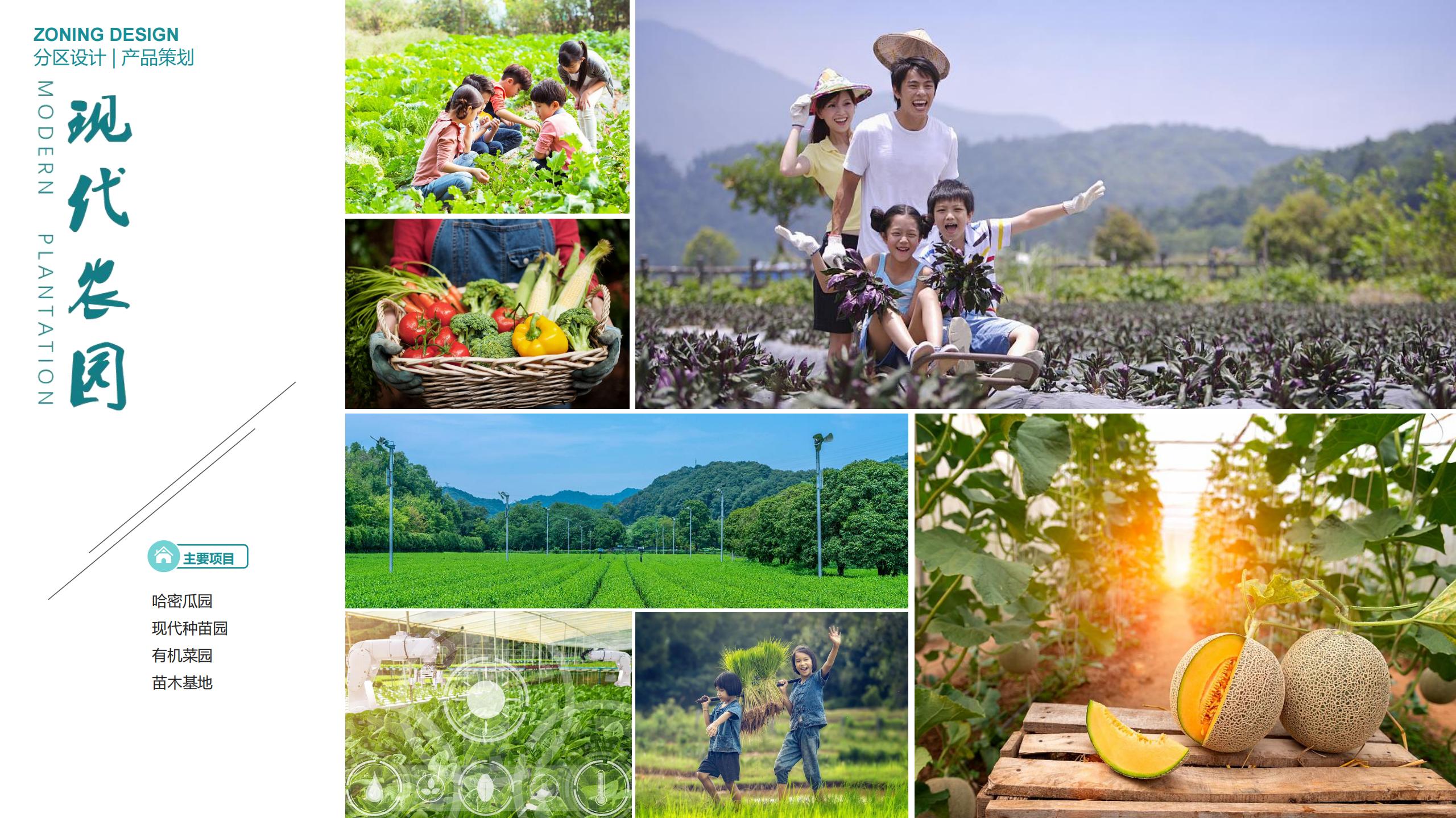 图片[129]-三亚乐东尖峰项目概念规划设计 - 由甫网-由甫网