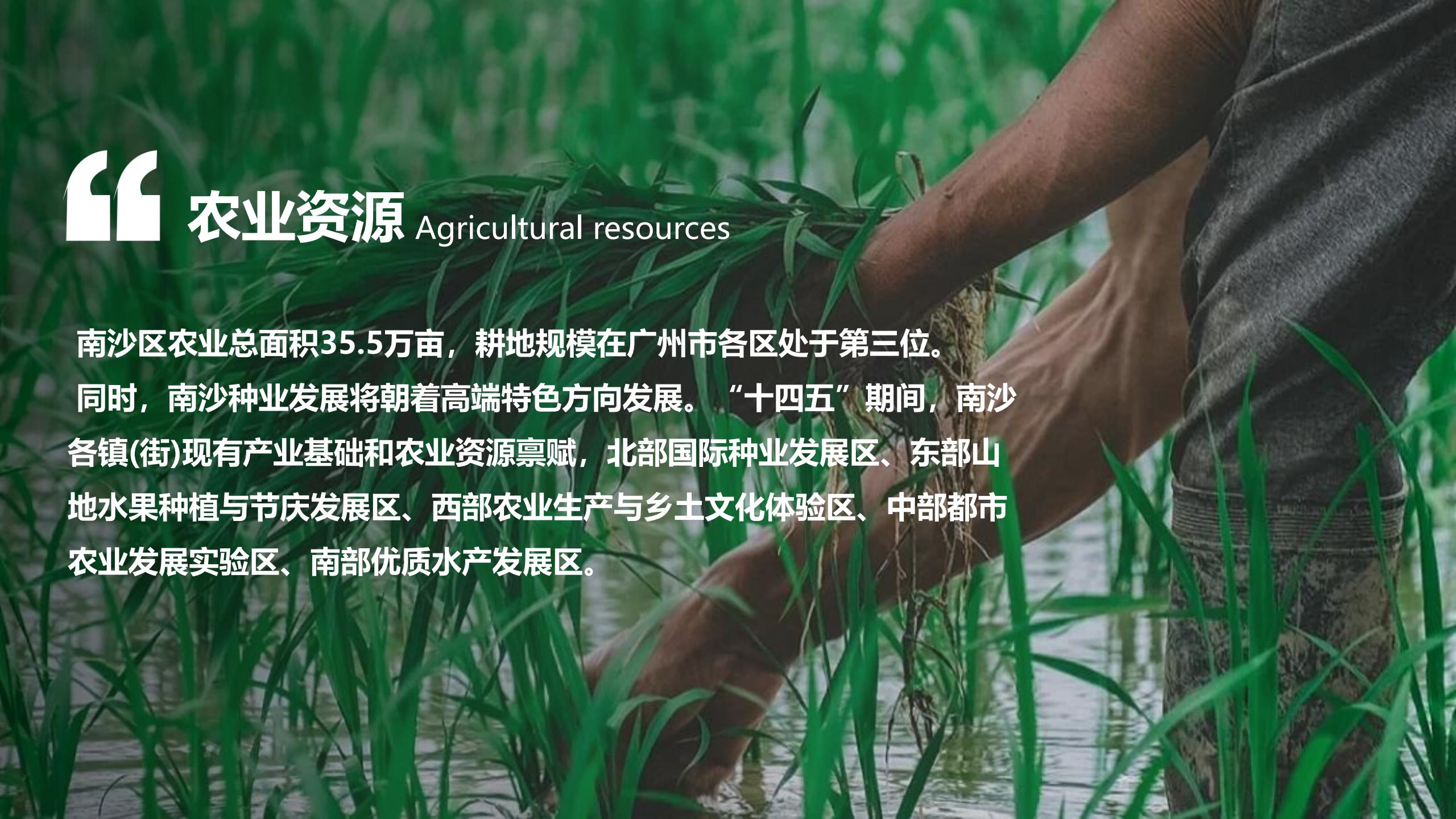 图片[9]-广州南沙乡村田园文旅项目策划及核心区概念性规划 - 由甫网-由甫网