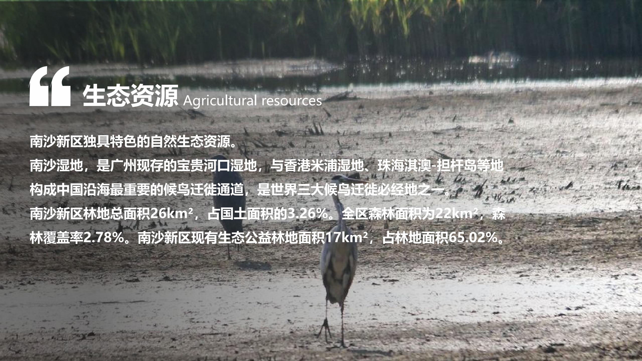 图片[10]-广州南沙乡村田园文旅项目策划及核心区概念性规划 - 由甫网-由甫网