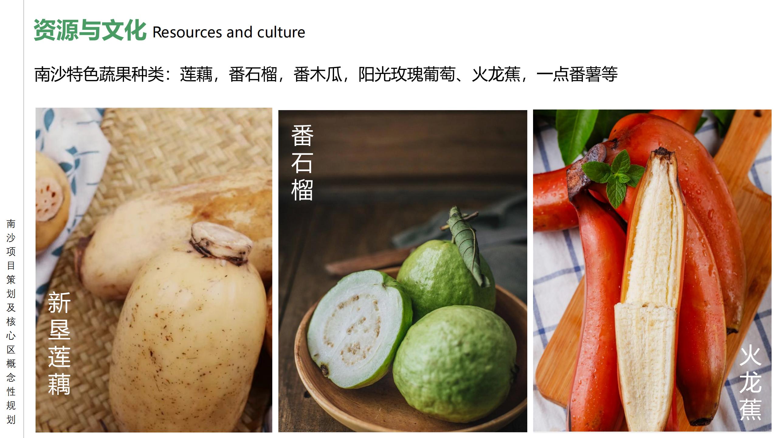 图片[13]-广州南沙乡村田园文旅项目策划及核心区概念性规划 - 由甫网-由甫网