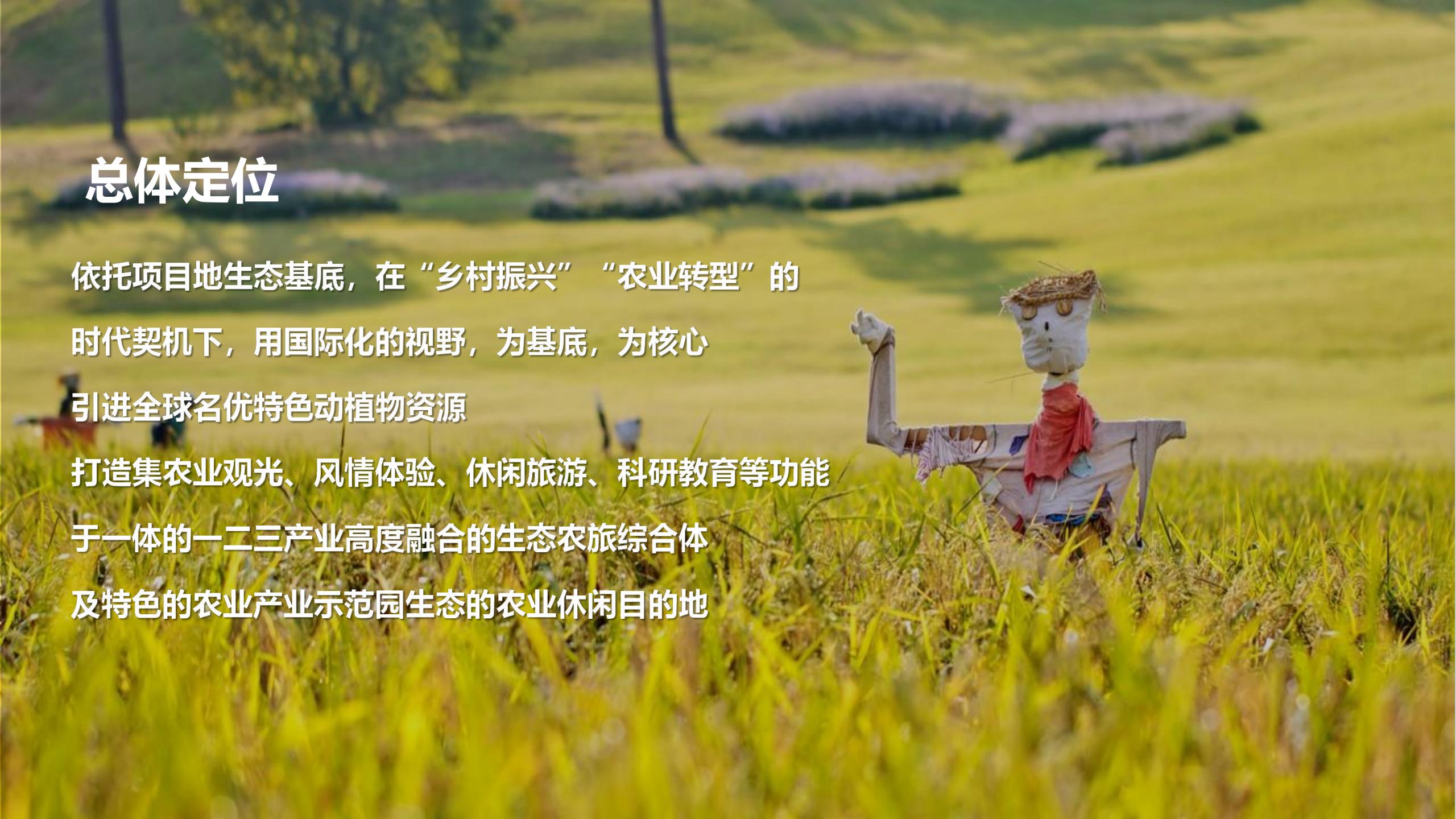 图片[31]-广州南沙乡村田园文旅项目策划及核心区概念性规划 - 由甫网-由甫网