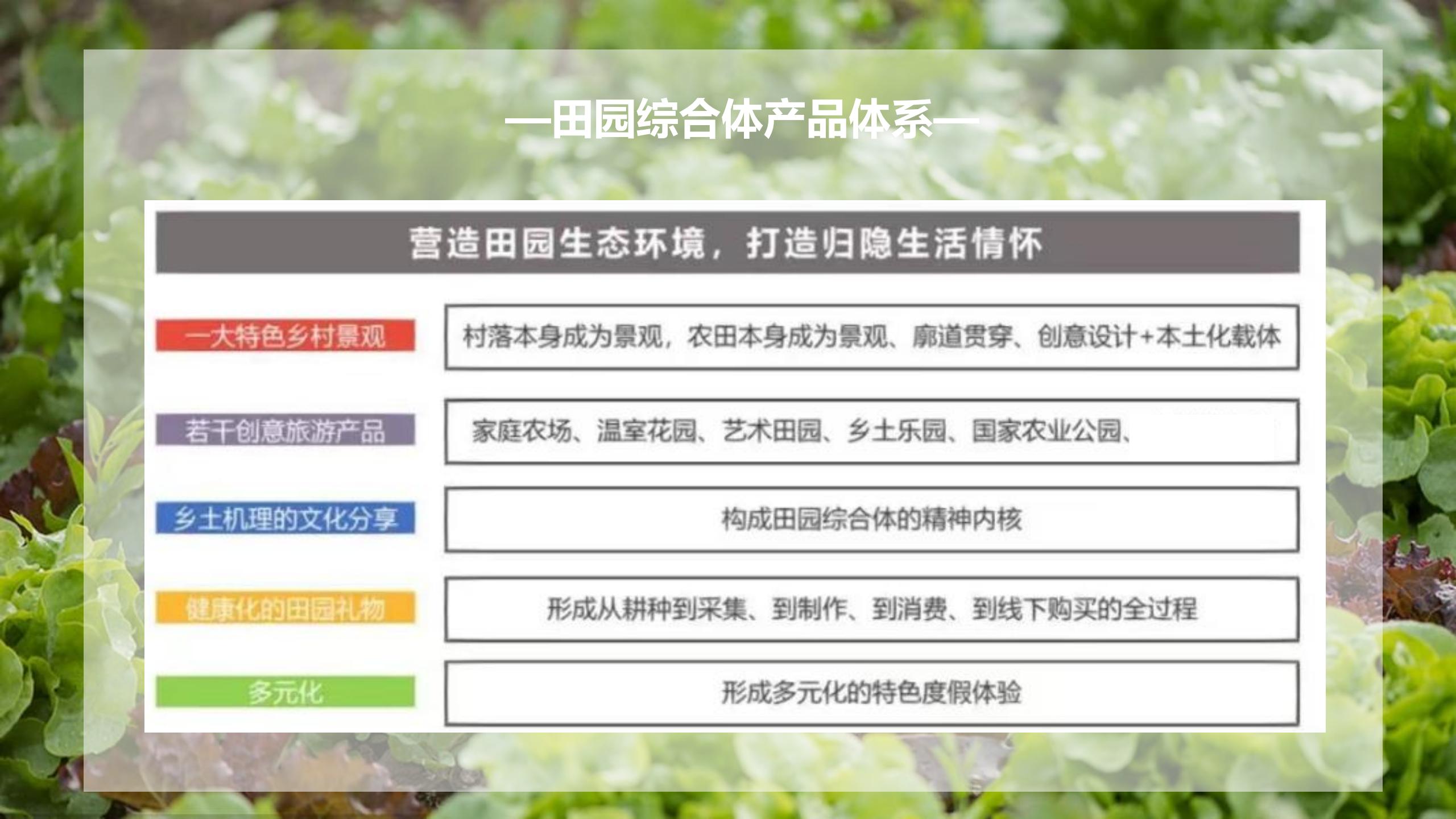 图片[38]-广州南沙乡村田园文旅项目策划及核心区概念性规划 - 由甫网-由甫网