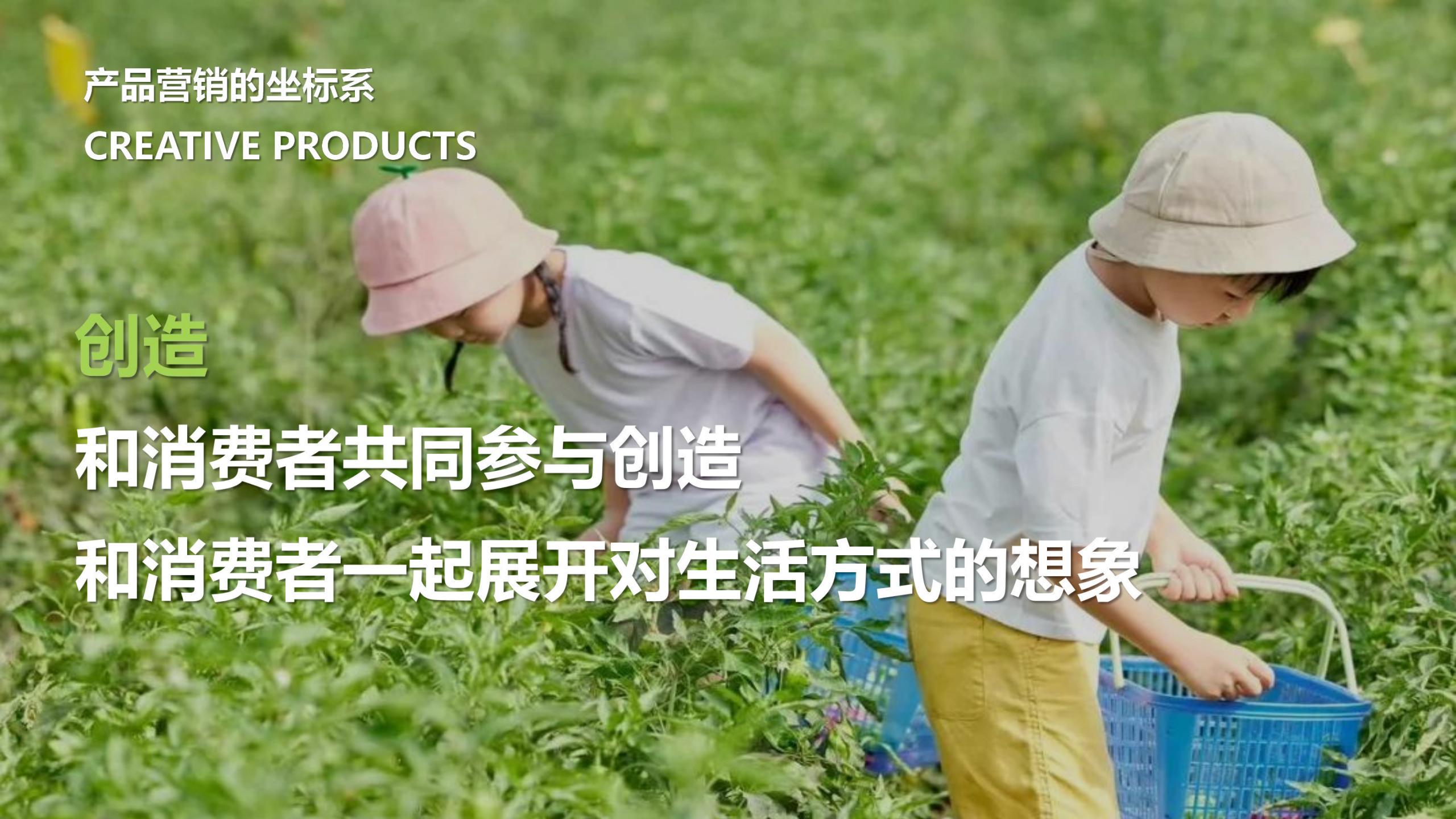 图片[39]-广州南沙乡村田园文旅项目策划及核心区概念性规划 - 由甫网-由甫网