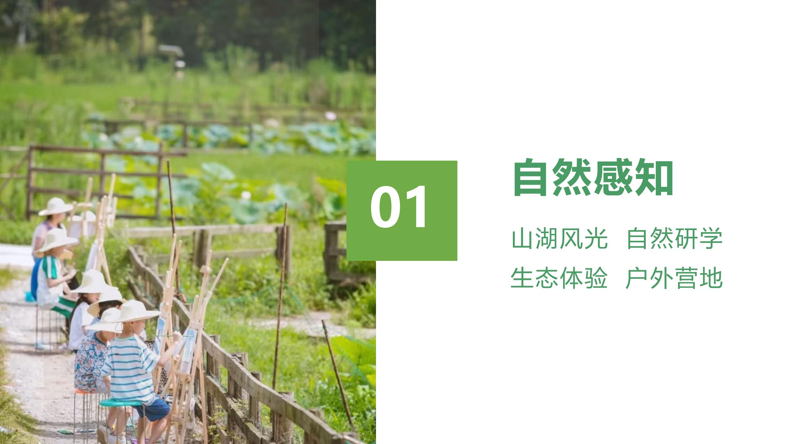 图片[43]-广州南沙乡村田园文旅项目策划及核心区概念性规划 - 由甫网-由甫网