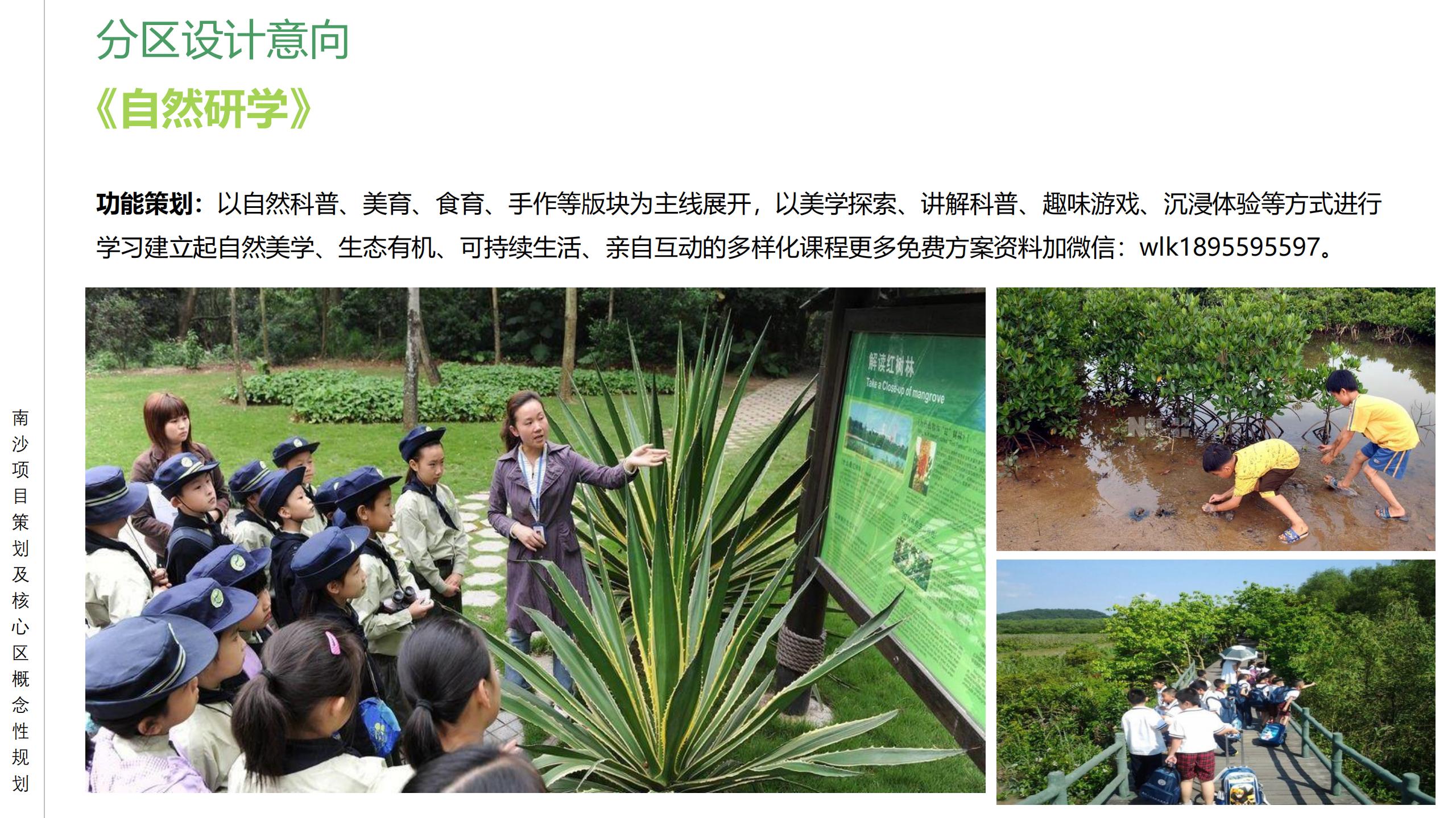 图片[45]-广州南沙乡村田园文旅项目策划及核心区概念性规划 - 由甫网-由甫网