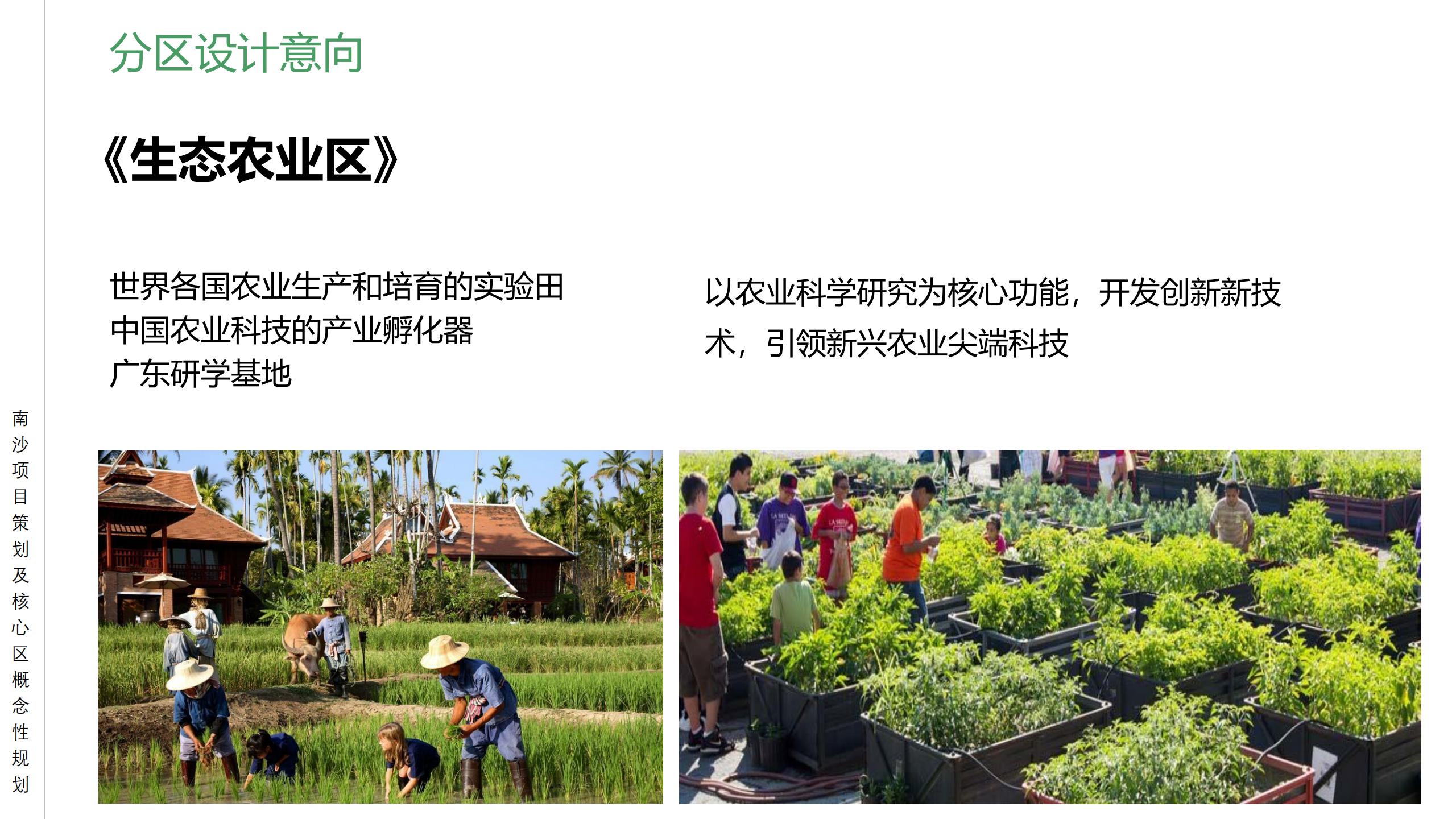 图片[47]-广州南沙乡村田园文旅项目策划及核心区概念性规划 - 由甫网-由甫网