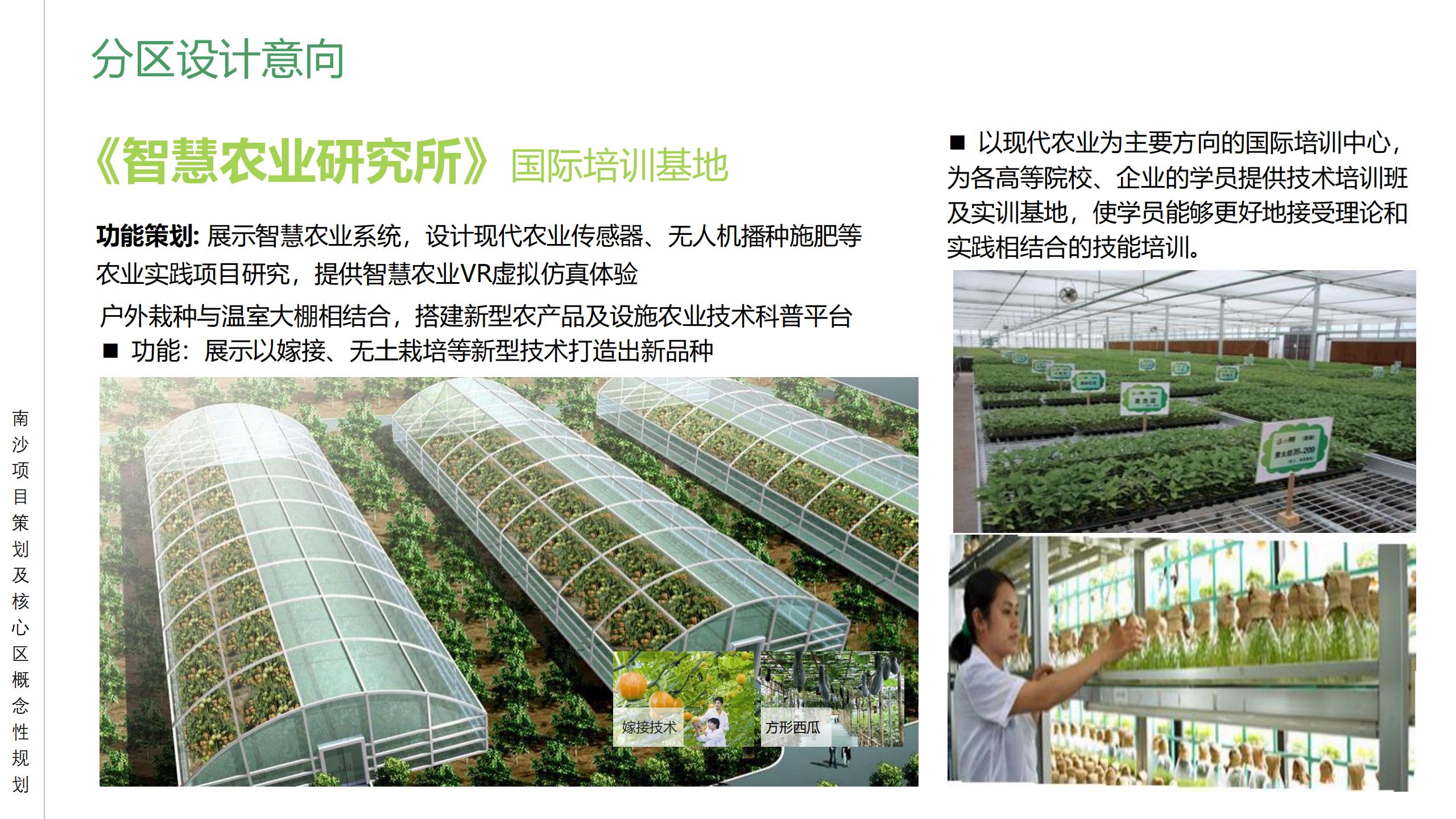 图片[48]-广州南沙乡村田园文旅项目策划及核心区概念性规划 - 由甫网-由甫网