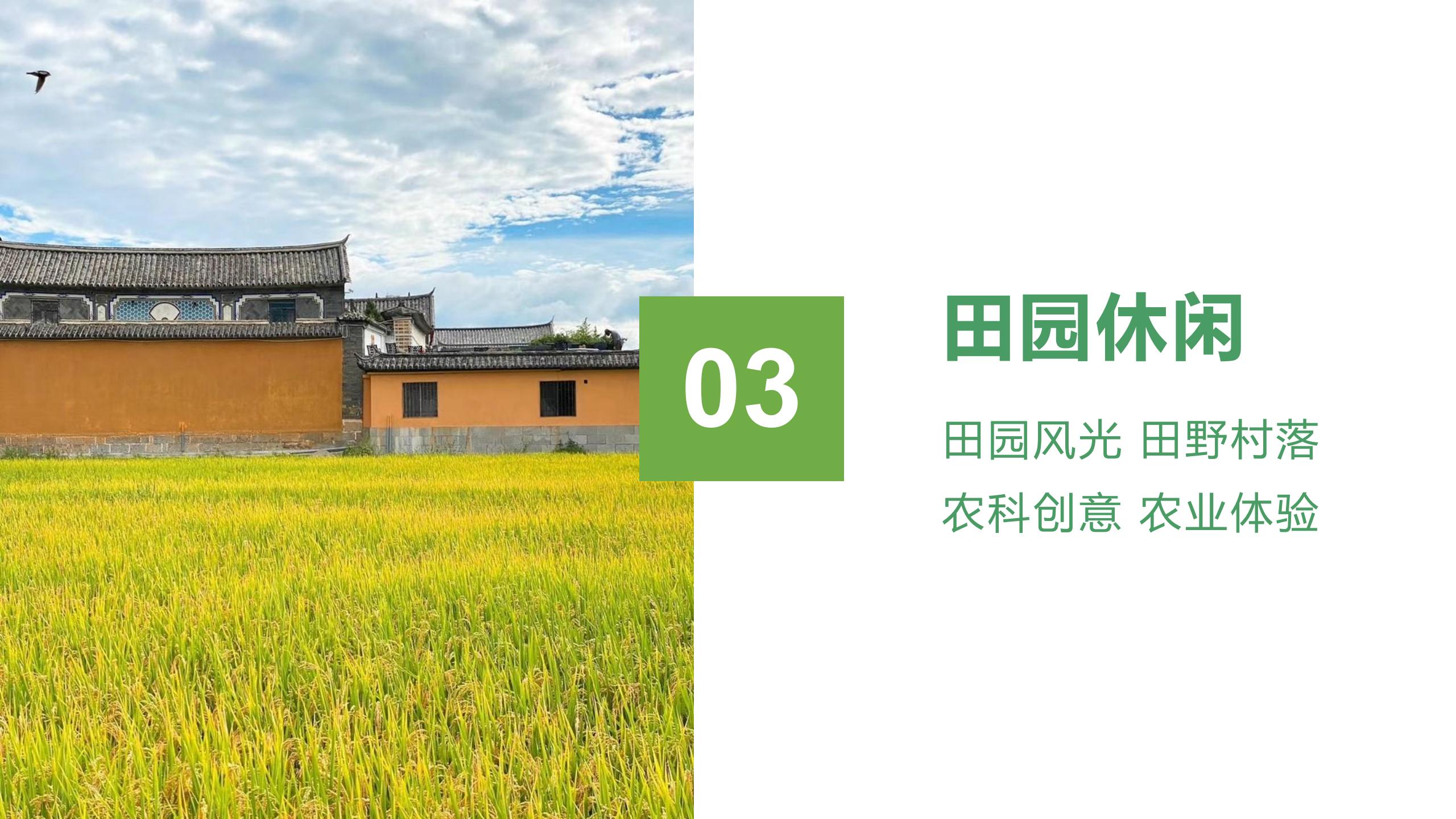 图片[51]-广州南沙乡村田园文旅项目策划及核心区概念性规划 - 由甫网-由甫网