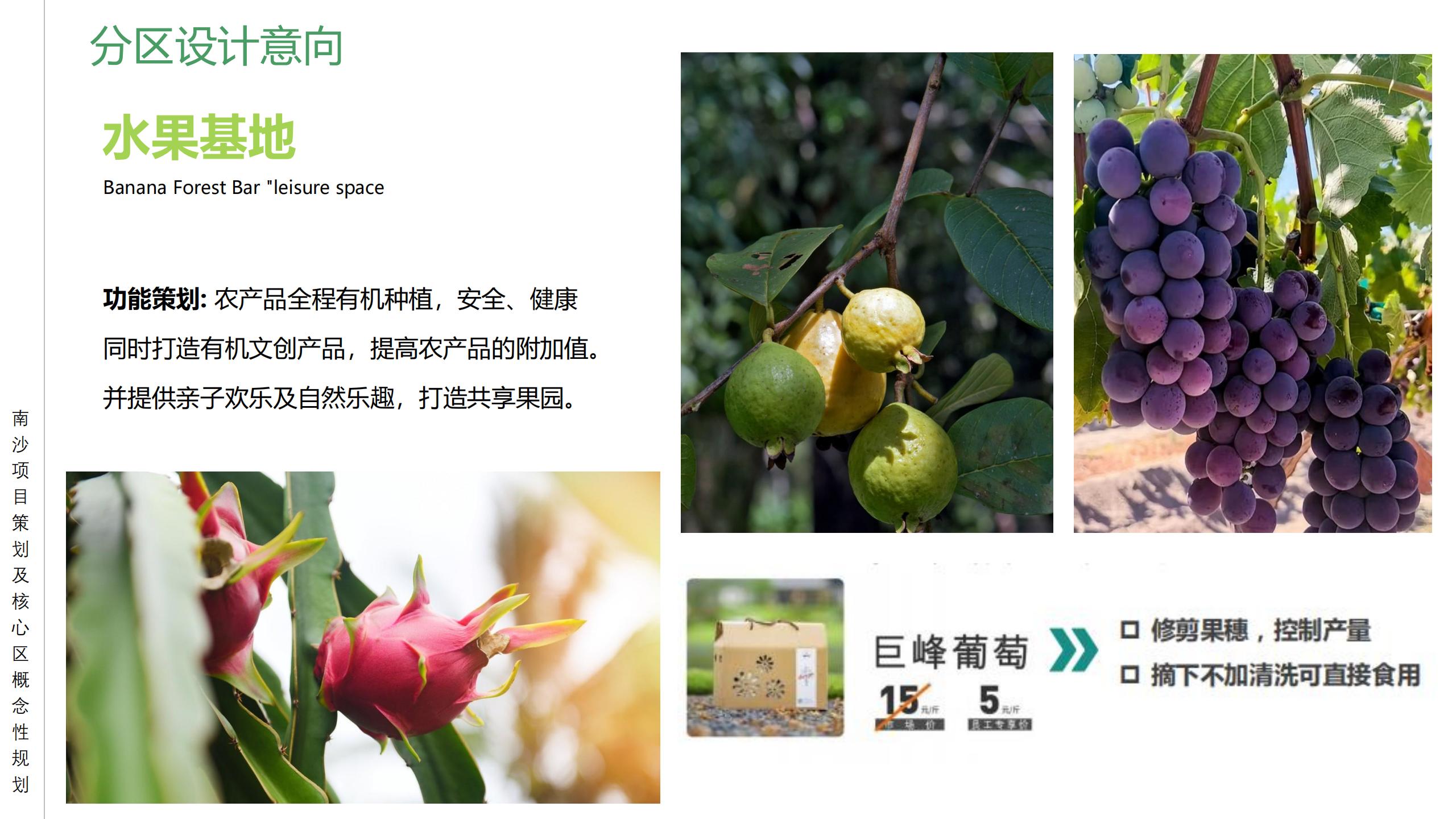 图片[54]-广州南沙乡村田园文旅项目策划及核心区概念性规划 - 由甫网-由甫网