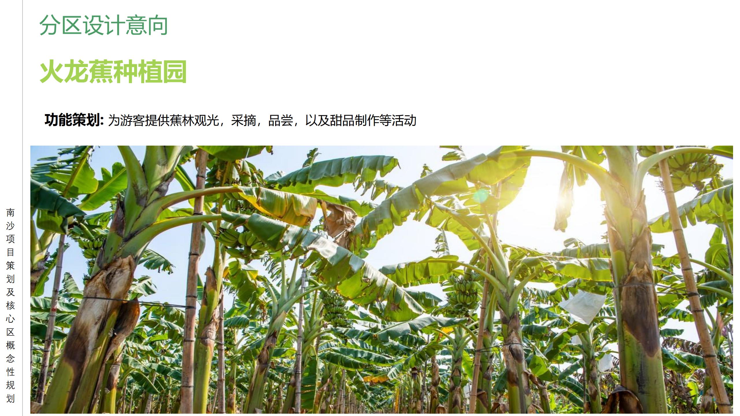 图片[55]-广州南沙乡村田园文旅项目策划及核心区概念性规划 - 由甫网-由甫网