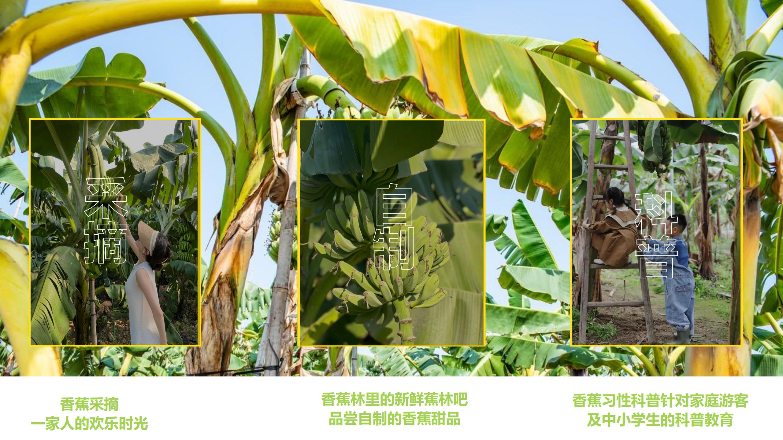 图片[56]-广州南沙乡村田园文旅项目策划及核心区概念性规划 - 由甫网-由甫网