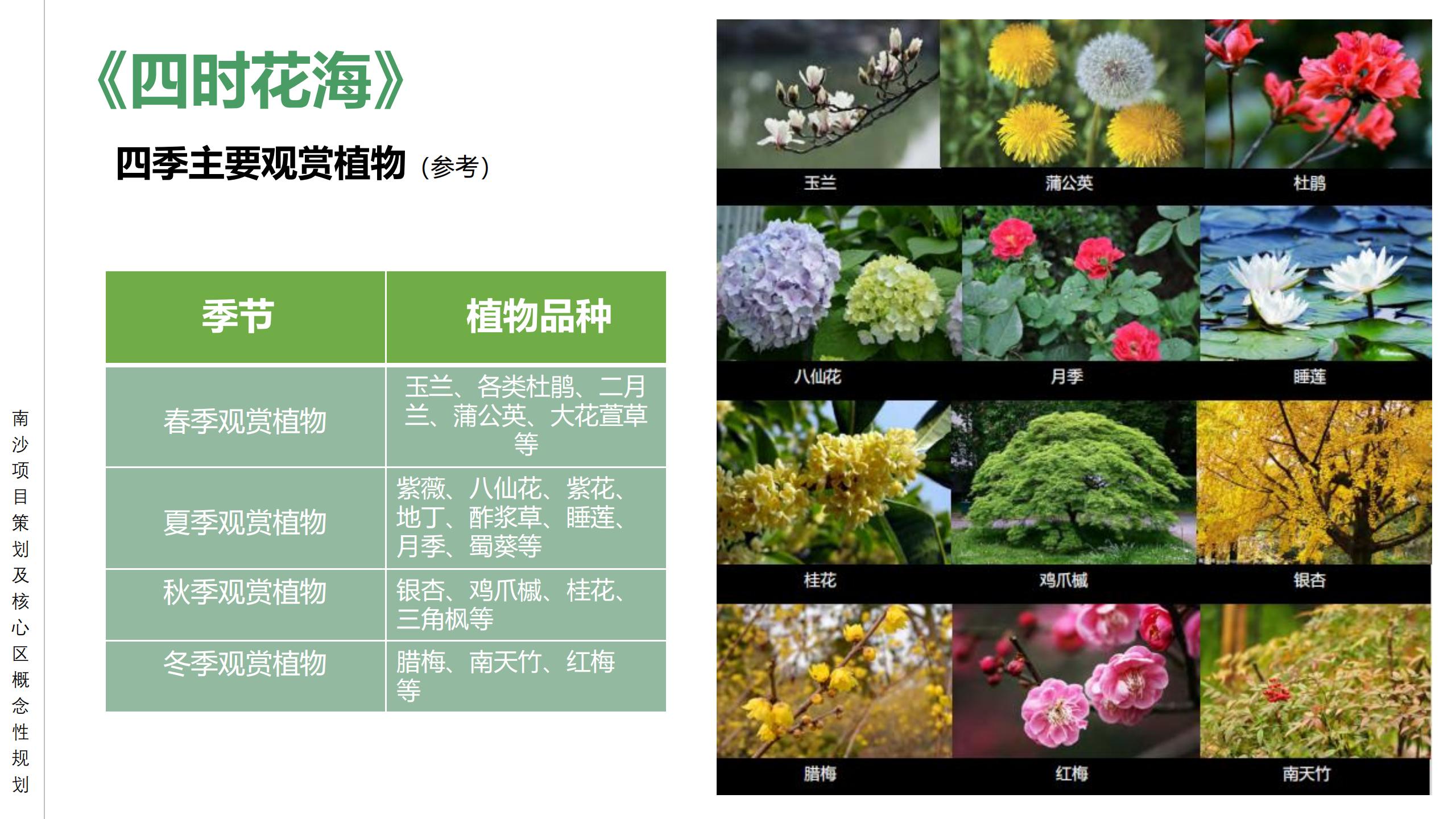 图片[58]-广州南沙乡村田园文旅项目策划及核心区概念性规划 - 由甫网-由甫网