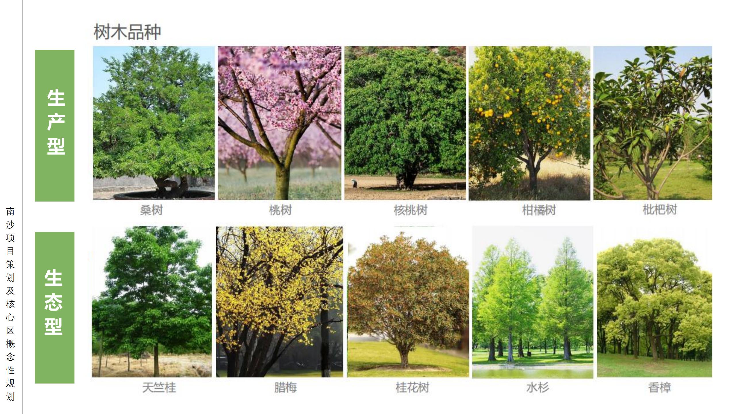 图片[59]-广州南沙乡村田园文旅项目策划及核心区概念性规划 - 由甫网-由甫网