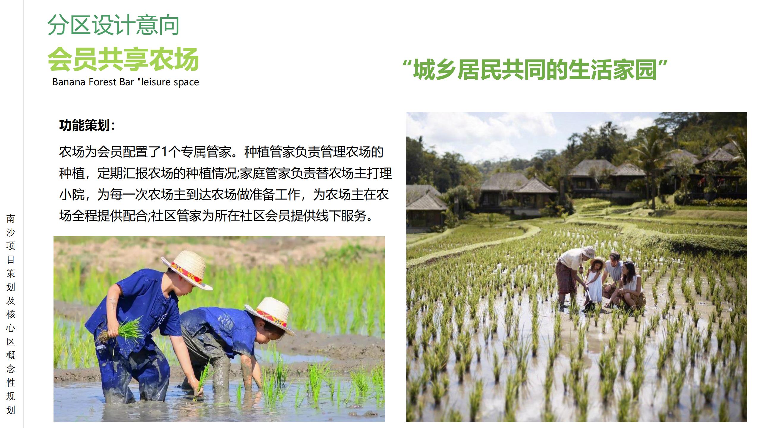 图片[60]-广州南沙乡村田园文旅项目策划及核心区概念性规划 - 由甫网-由甫网