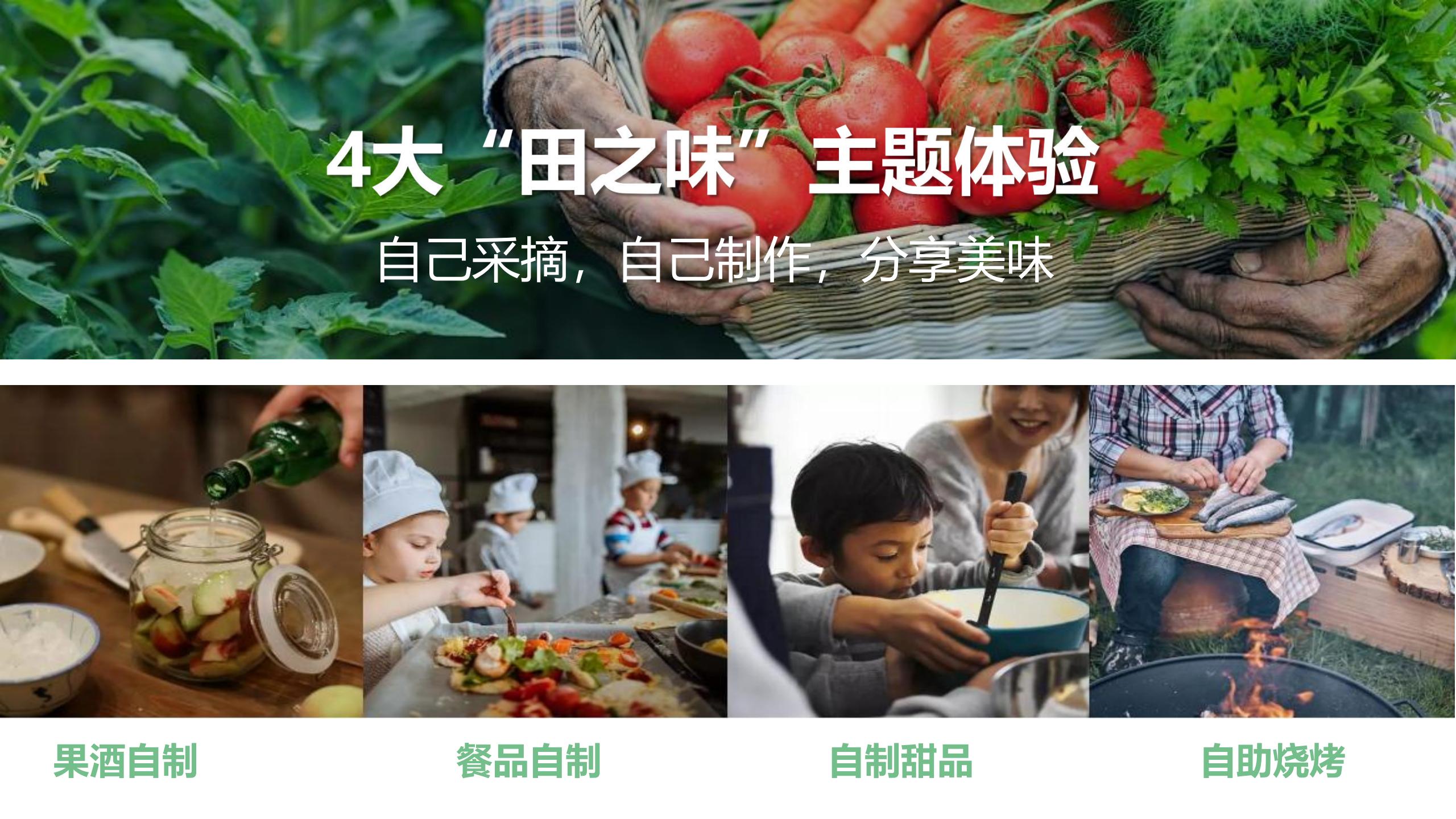 图片[62]-广州南沙乡村田园文旅项目策划及核心区概念性规划 - 由甫网-由甫网