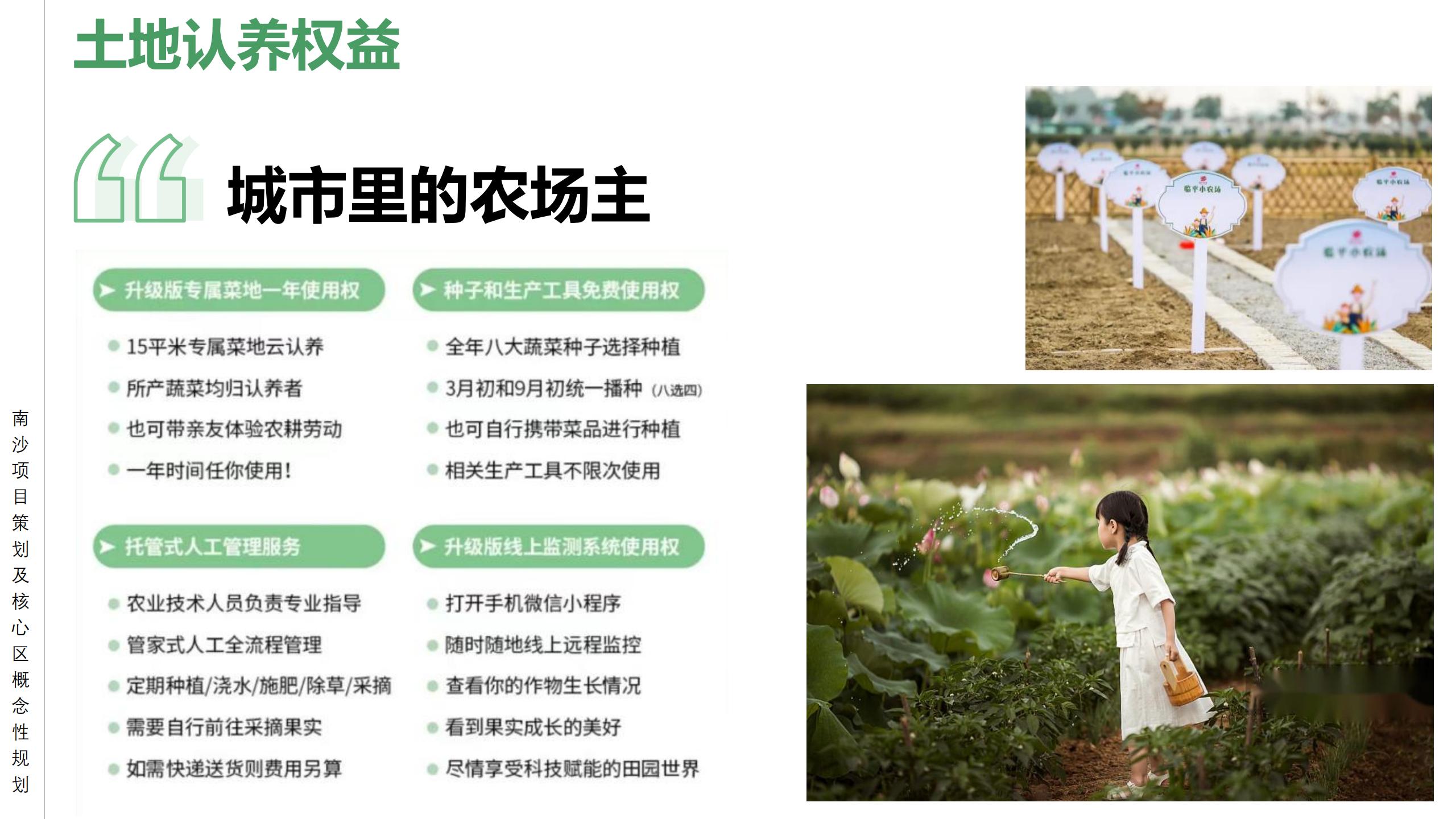 图片[75]-广州南沙乡村田园文旅项目策划及核心区概念性规划 - 由甫网-由甫网