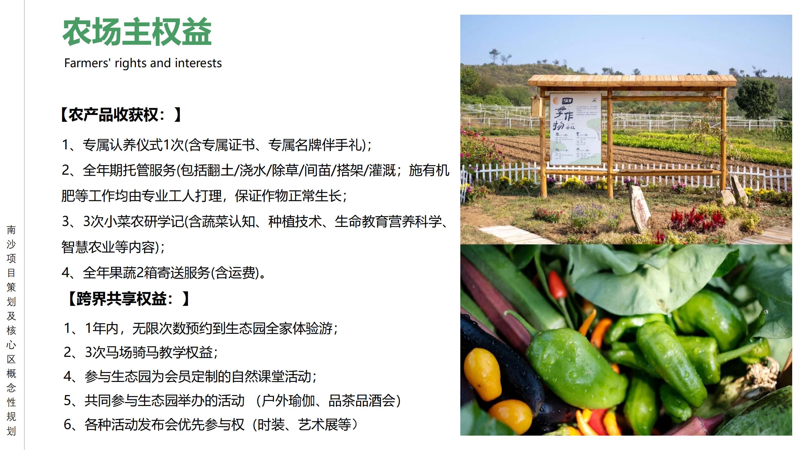 图片[83]-广州南沙乡村田园文旅项目策划及核心区概念性规划 - 由甫网-由甫网