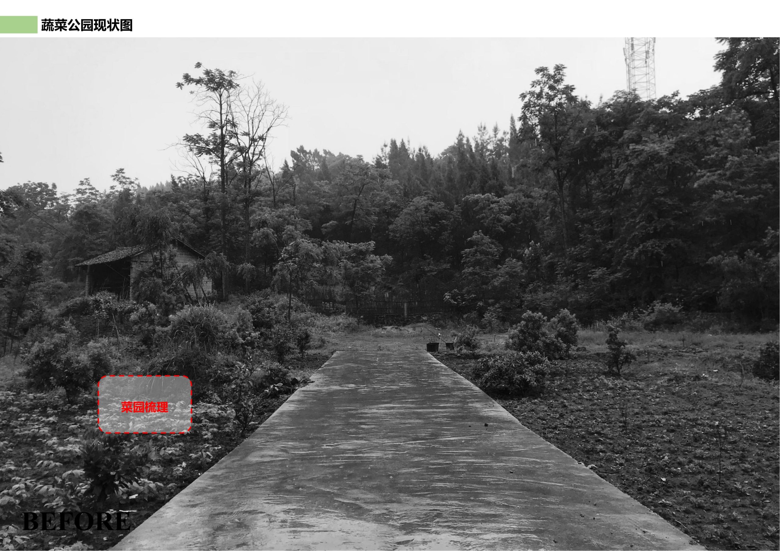 图片[90]-邵阳县永兴村农文旅田园综合体规划设计方案 - 由甫网-由甫网