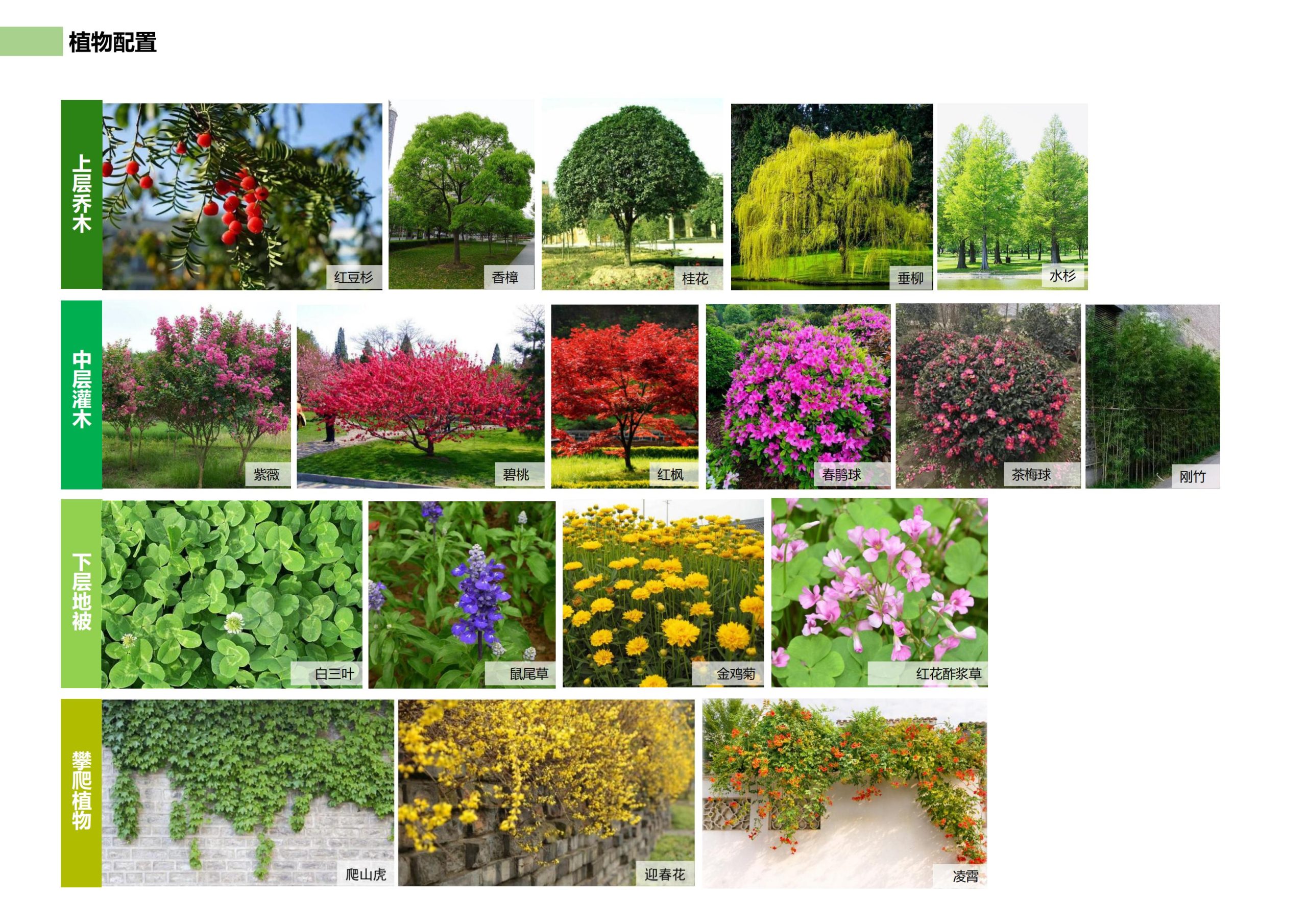 图片[116]-邵阳县永兴村农文旅田园综合体规划设计方案 - 由甫网-由甫网