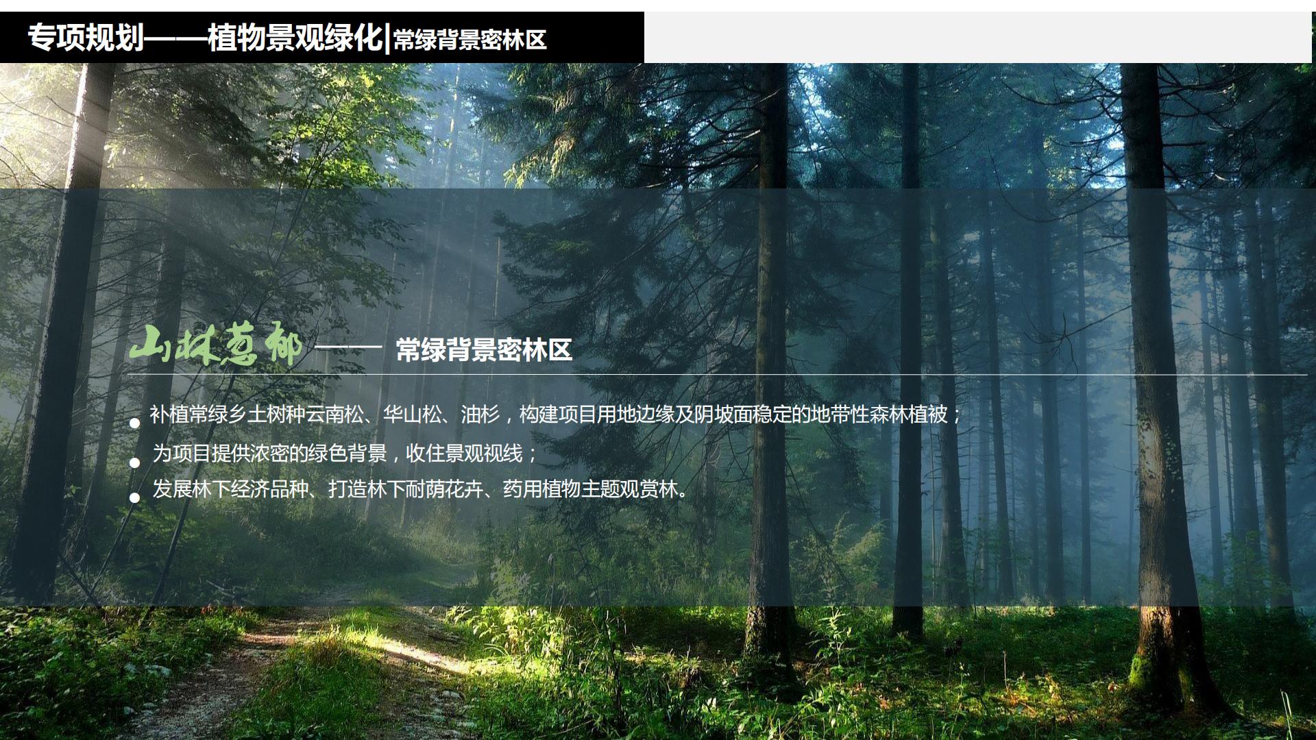 图片[215]-水富心寿桃源田园综合体总体规划方案文本 - 由甫网-由甫网