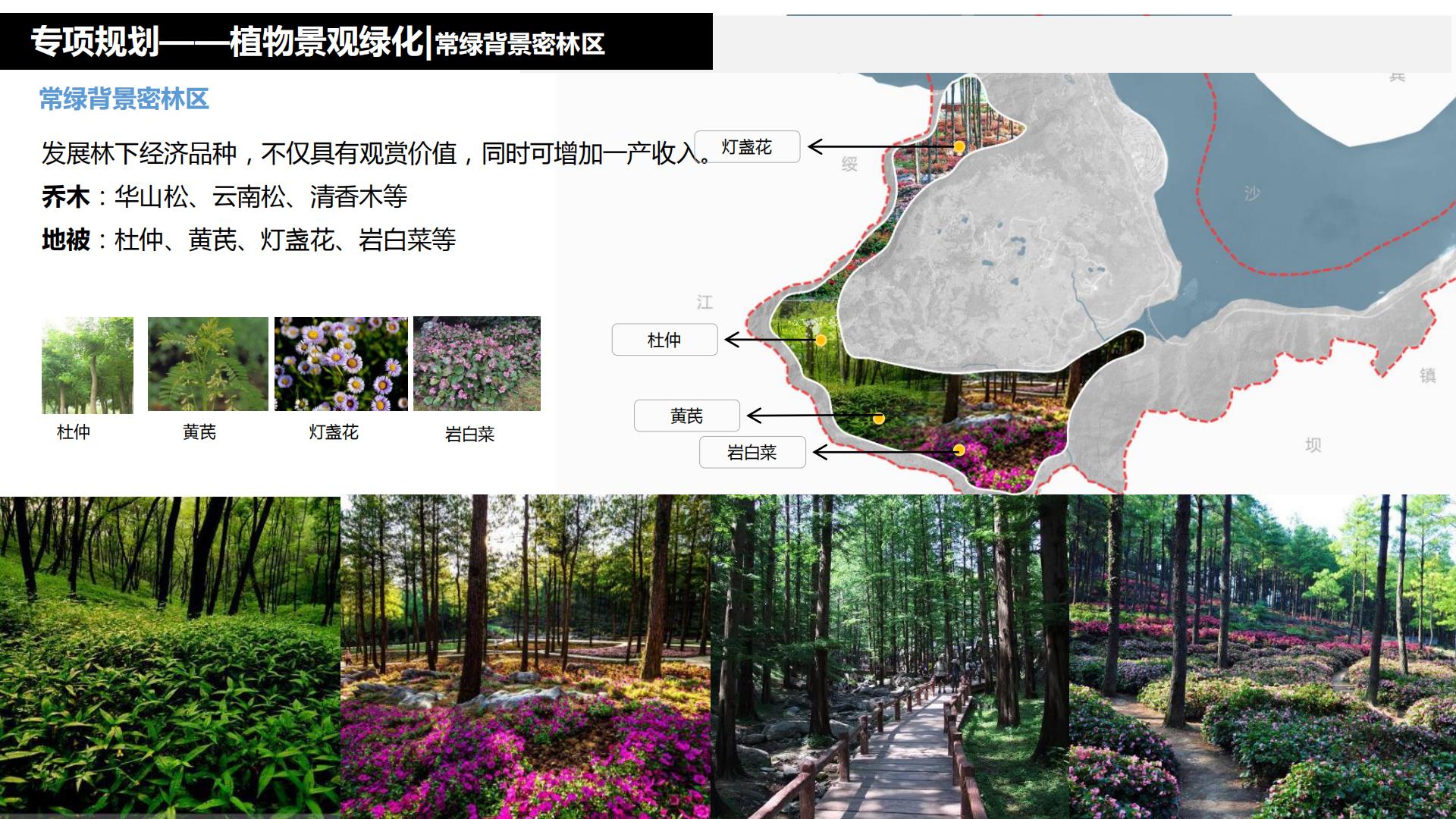 图片[216]-水富心寿桃源田园综合体总体规划方案文本 - 由甫网-由甫网