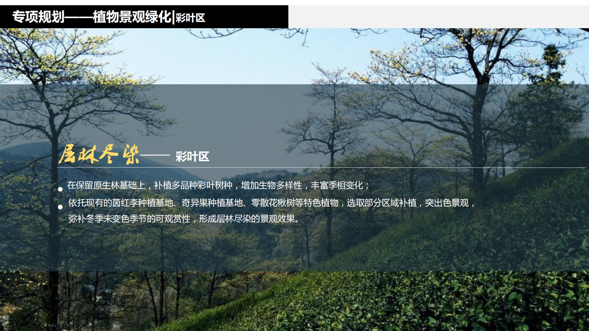 图片[217]-水富心寿桃源田园综合体总体规划方案文本 - 由甫网-由甫网