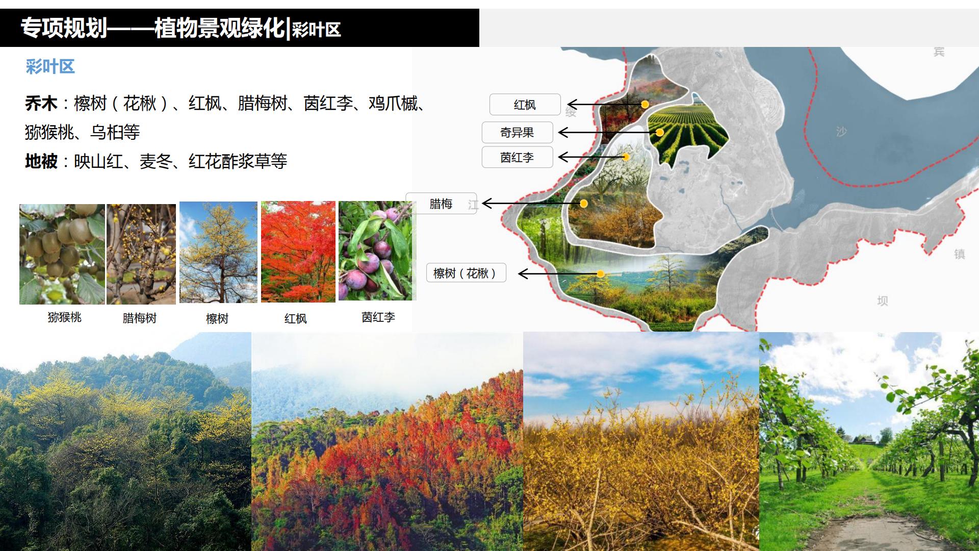 图片[218]-水富心寿桃源田园综合体总体规划方案文本 - 由甫网-由甫网