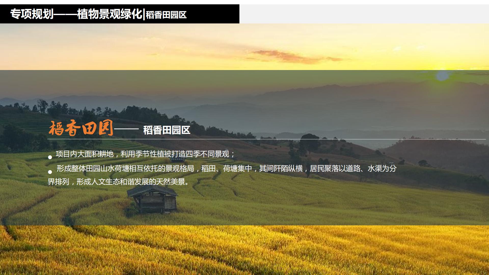 图片[221]-水富心寿桃源田园综合体总体规划方案文本 - 由甫网-由甫网