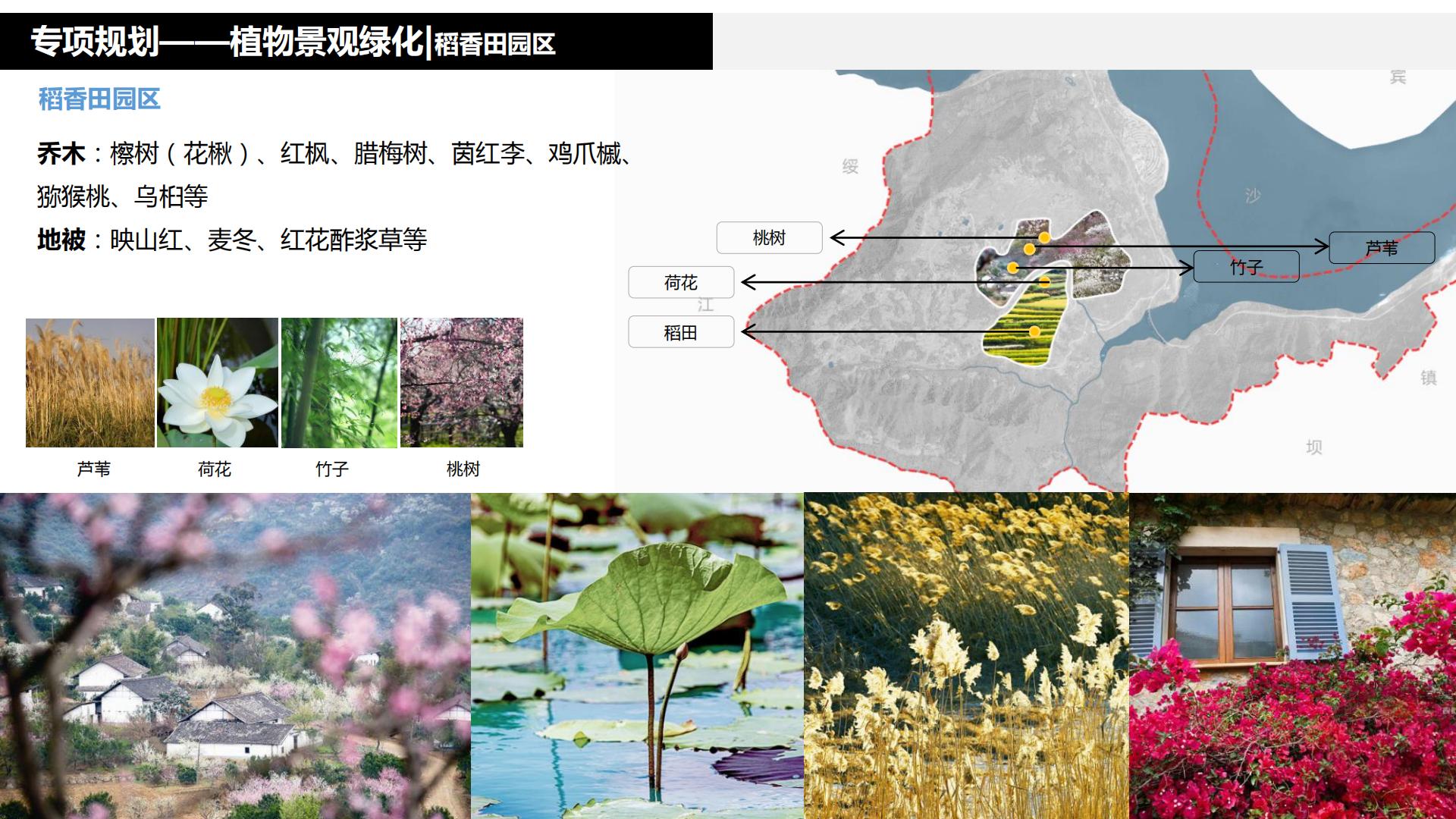 图片[222]-水富心寿桃源田园综合体总体规划方案文本 - 由甫网-由甫网