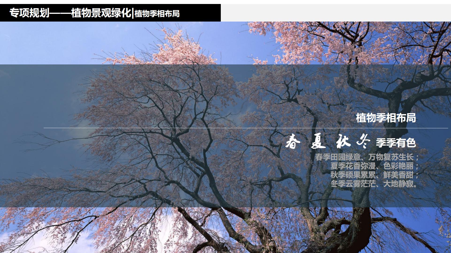 图片[223]-水富心寿桃源田园综合体总体规划方案文本 - 由甫网-由甫网