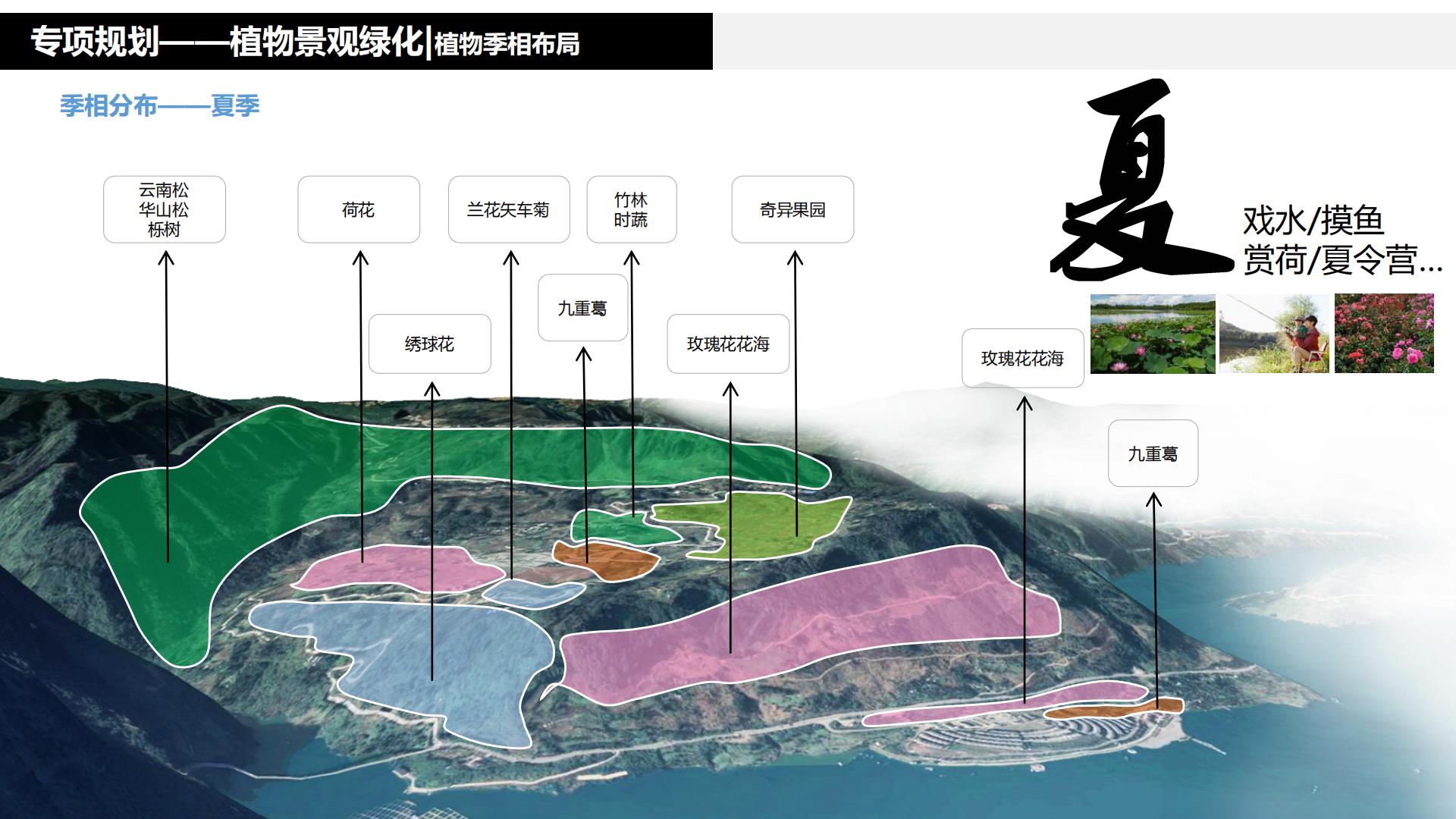 图片[225]-水富心寿桃源田园综合体总体规划方案文本 - 由甫网-由甫网