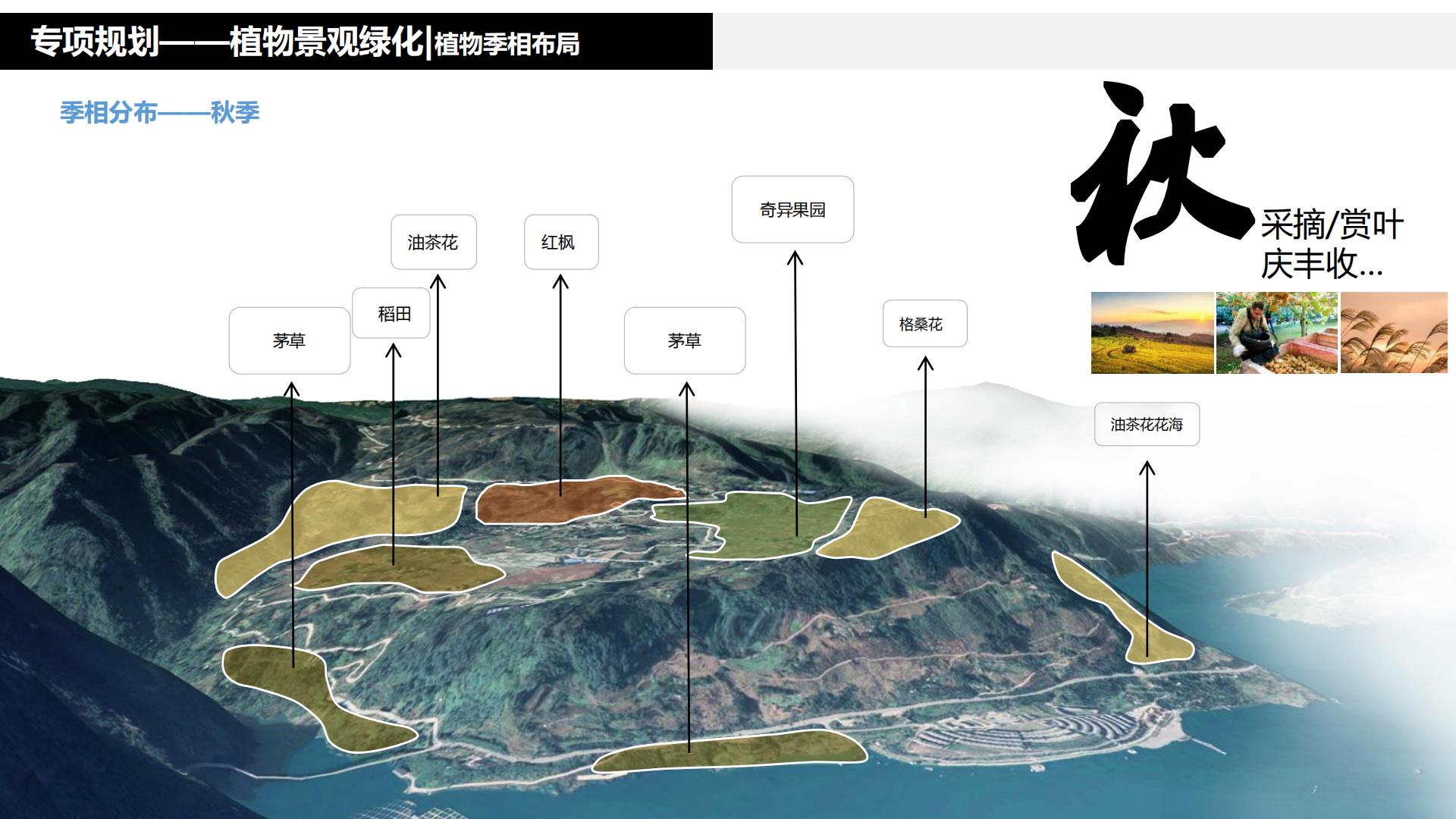 图片[226]-水富心寿桃源田园综合体总体规划方案文本 - 由甫网-由甫网