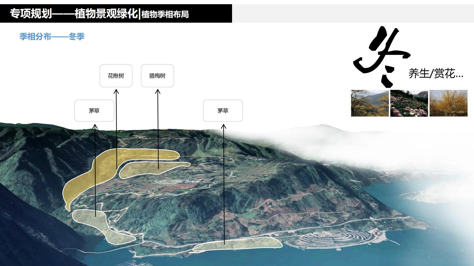 图片[227]-水富心寿桃源田园综合体总体规划方案文本 - 由甫网-由甫网