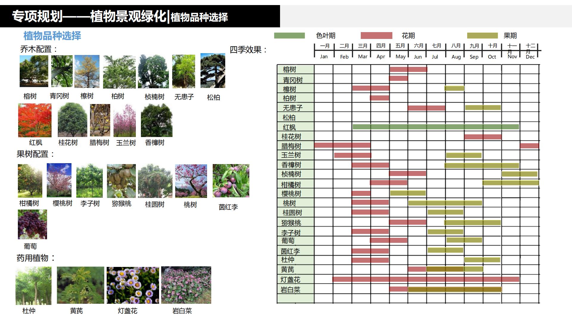 图片[228]-水富心寿桃源田园综合体总体规划方案文本 - 由甫网-由甫网