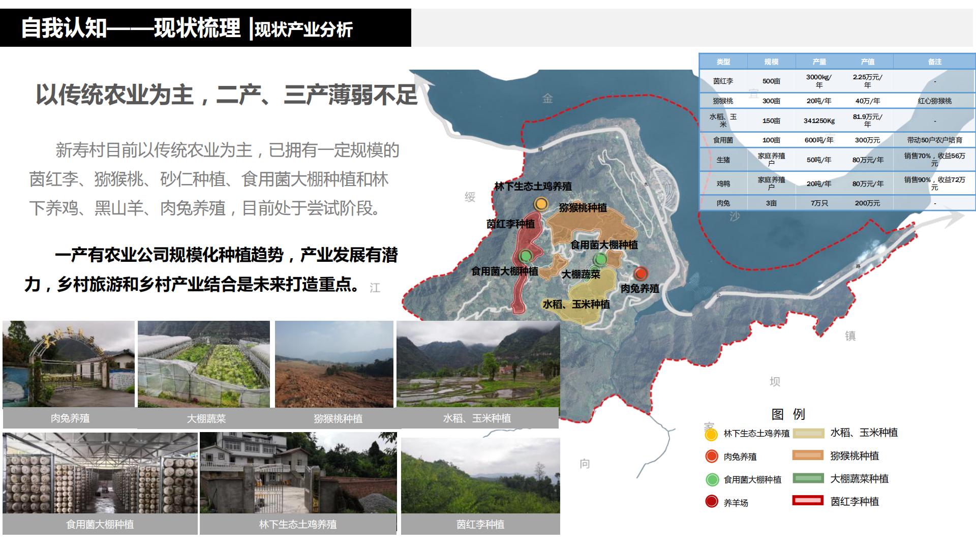 图片[36]-水富心寿桃源田园综合体总体规划方案文本 - 由甫网-由甫网