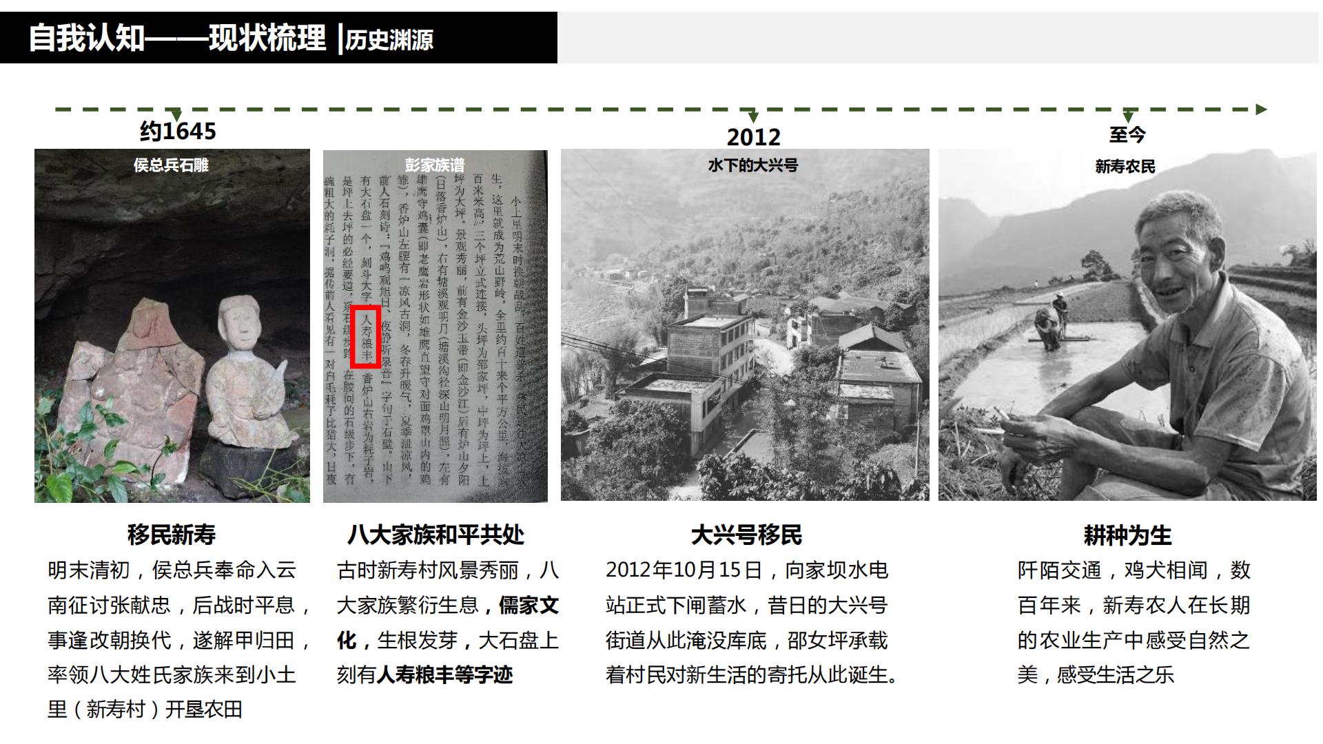 图片[45]-水富心寿桃源田园综合体总体规划方案文本 - 由甫网-由甫网