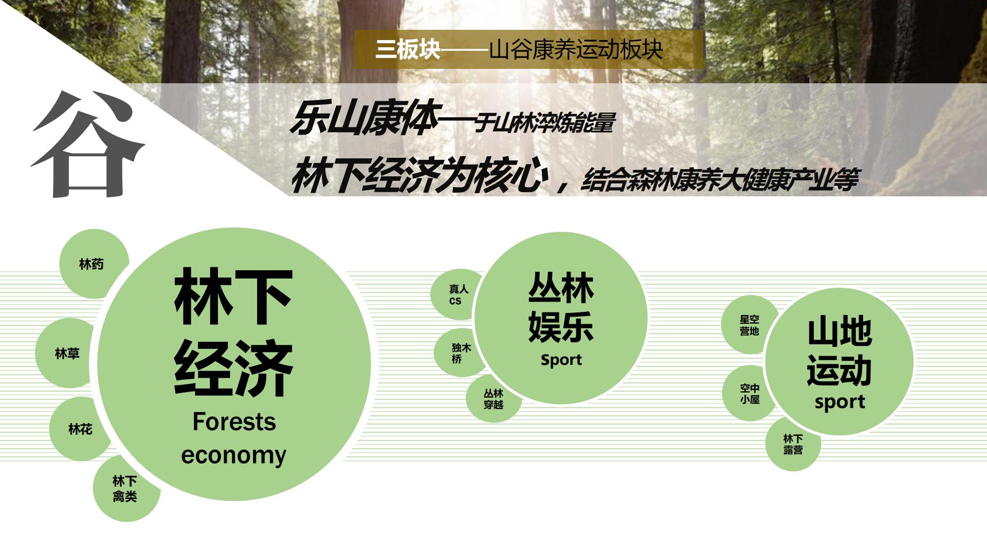 图片[74]-水富心寿桃源田园综合体总体规划方案文本 - 由甫网-由甫网