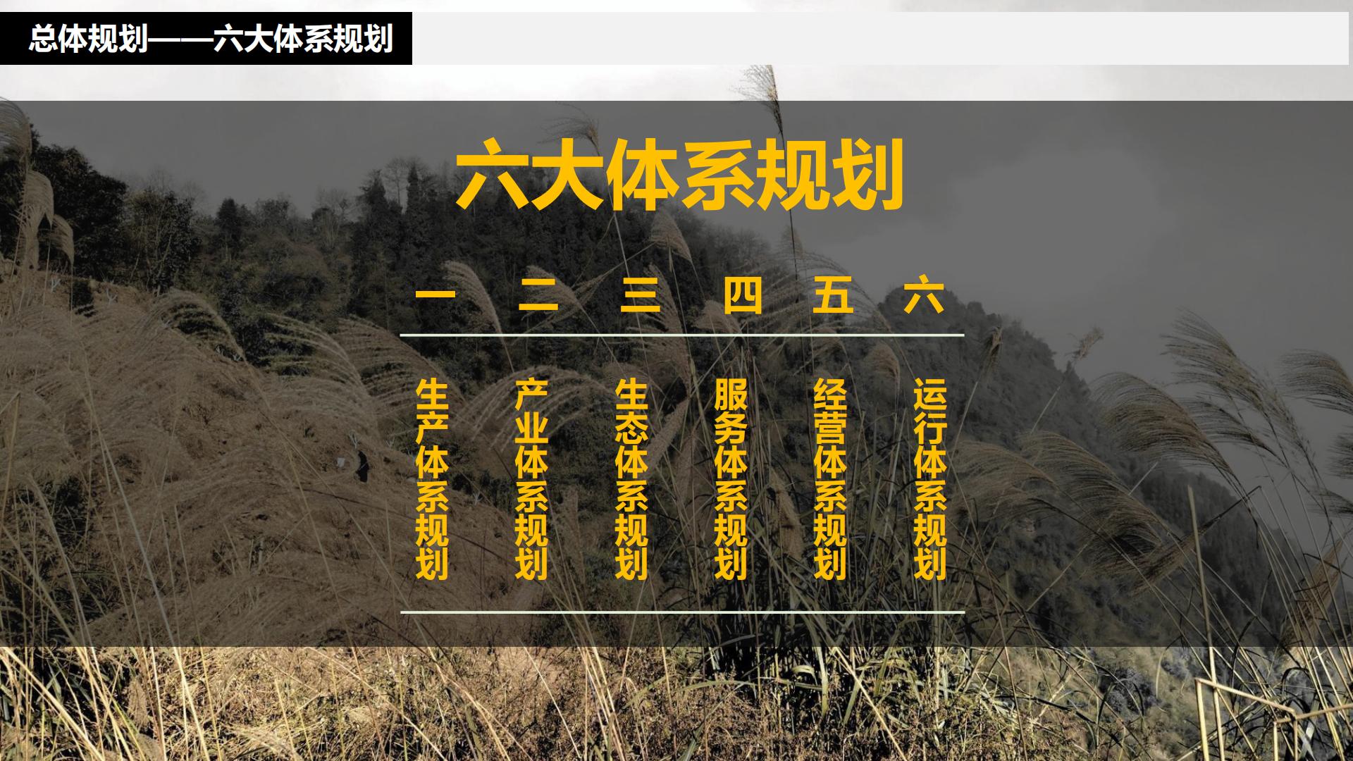 图片[81]-水富心寿桃源田园综合体总体规划方案文本 - 由甫网-由甫网