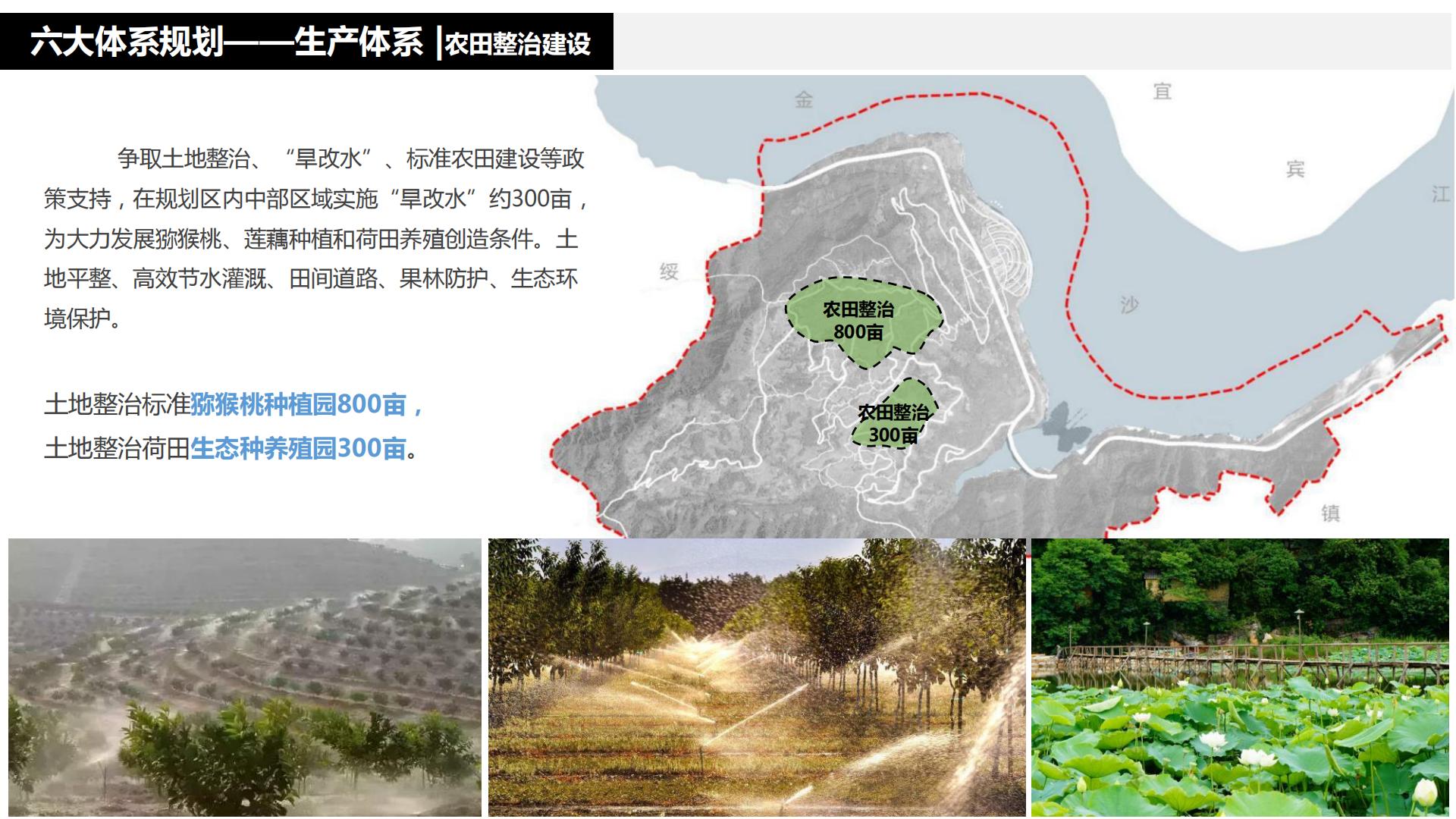 图片[88]-水富心寿桃源田园综合体总体规划方案文本 - 由甫网-由甫网