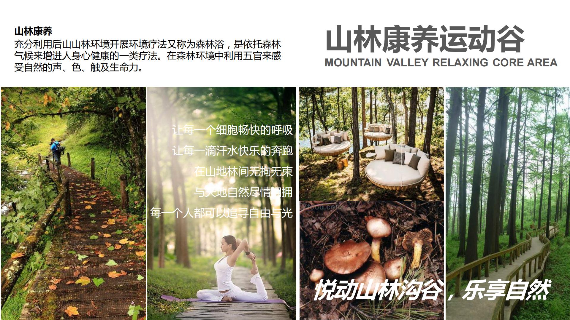 图片[100]-水富心寿桃源田园综合体总体规划方案文本 - 由甫网-由甫网