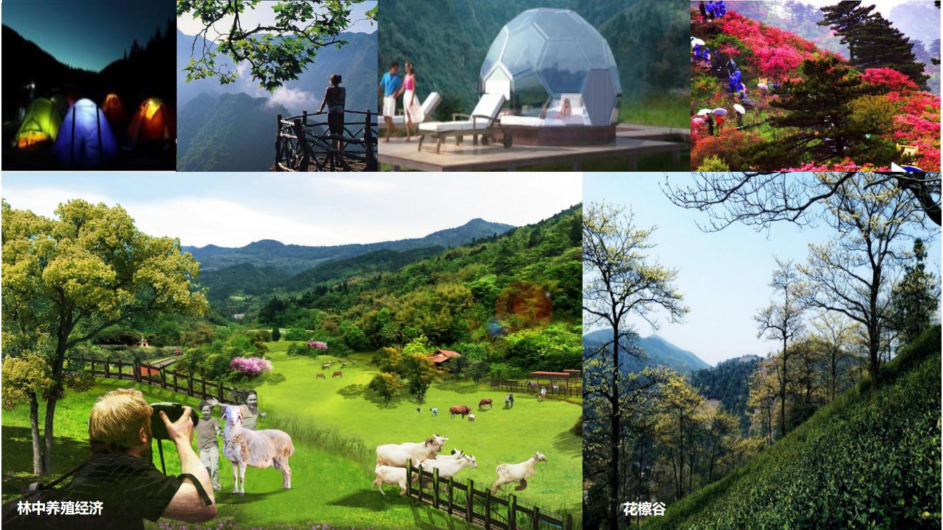 图片[102]-水富心寿桃源田园综合体总体规划方案文本 - 由甫网-由甫网