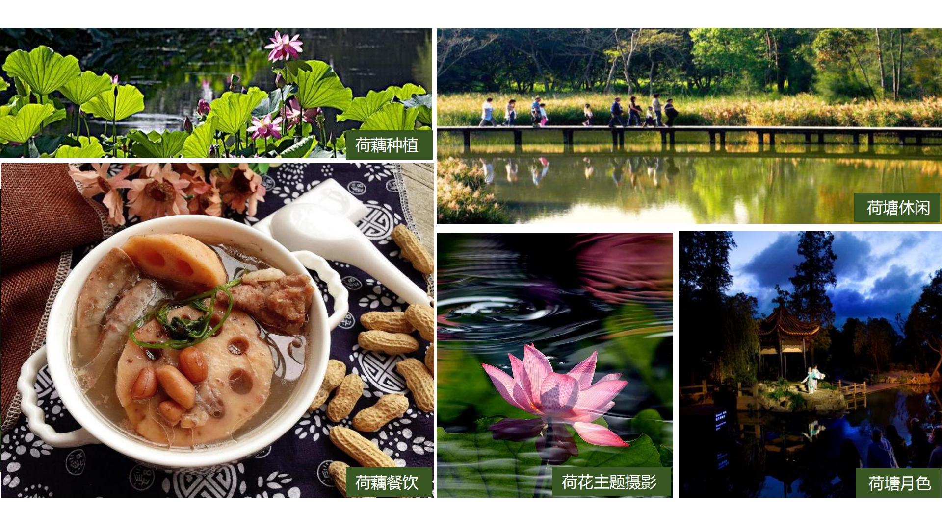 图片[106]-水富心寿桃源田园综合体总体规划方案文本 - 由甫网-由甫网