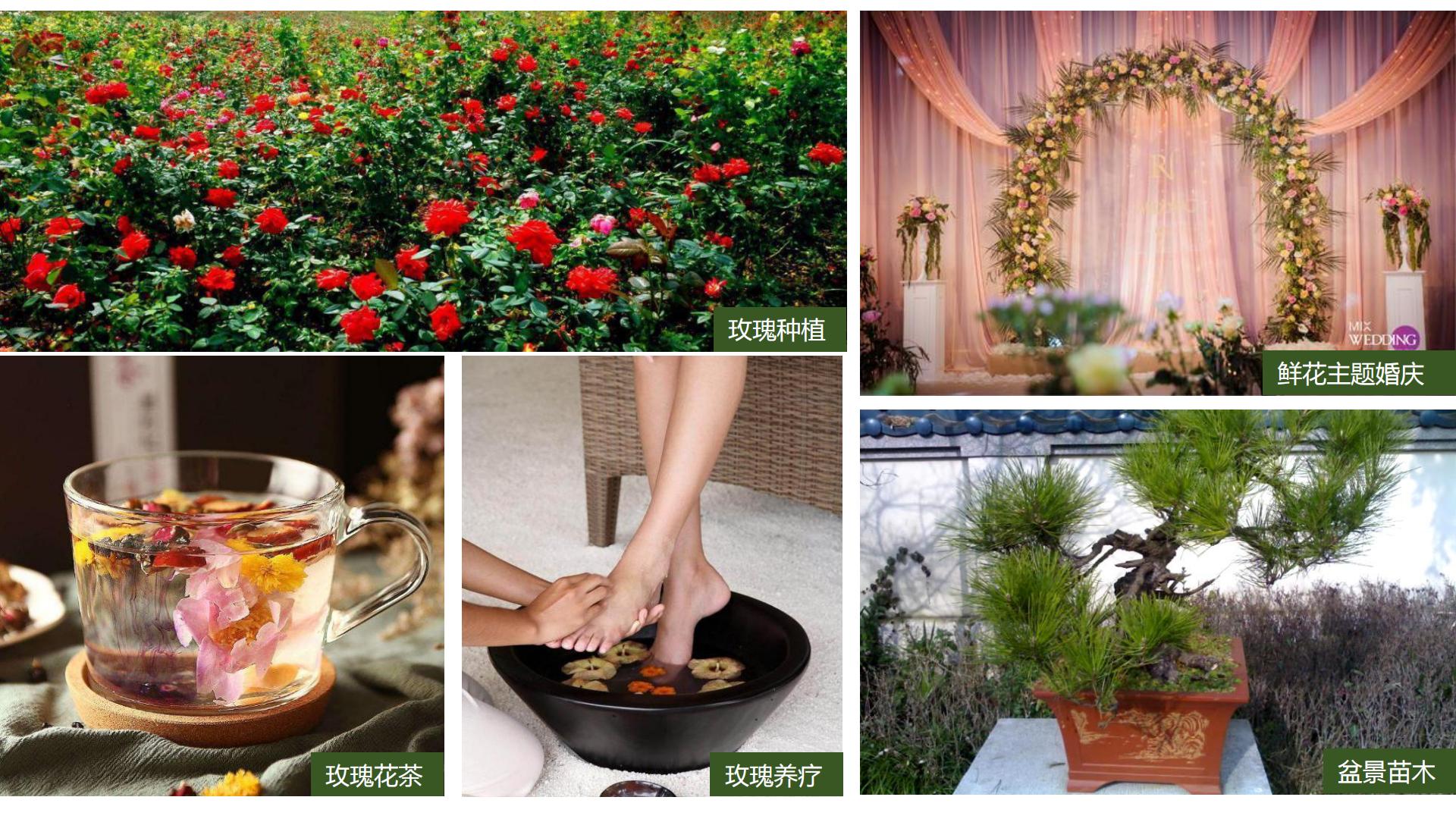 图片[108]-水富心寿桃源田园综合体总体规划方案文本 - 由甫网-由甫网