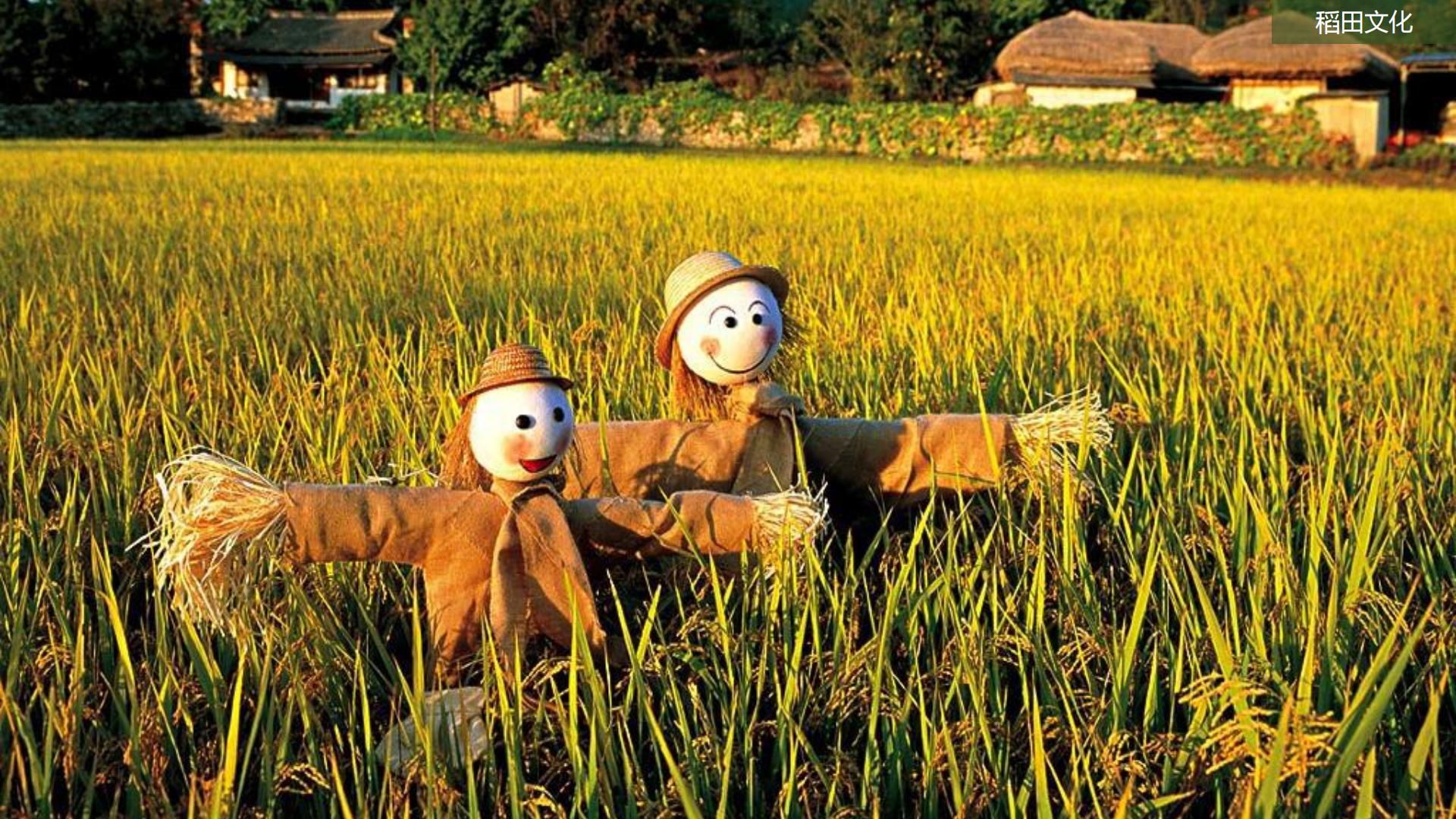 图片[110]-水富心寿桃源田园综合体总体规划方案文本 - 由甫网-由甫网