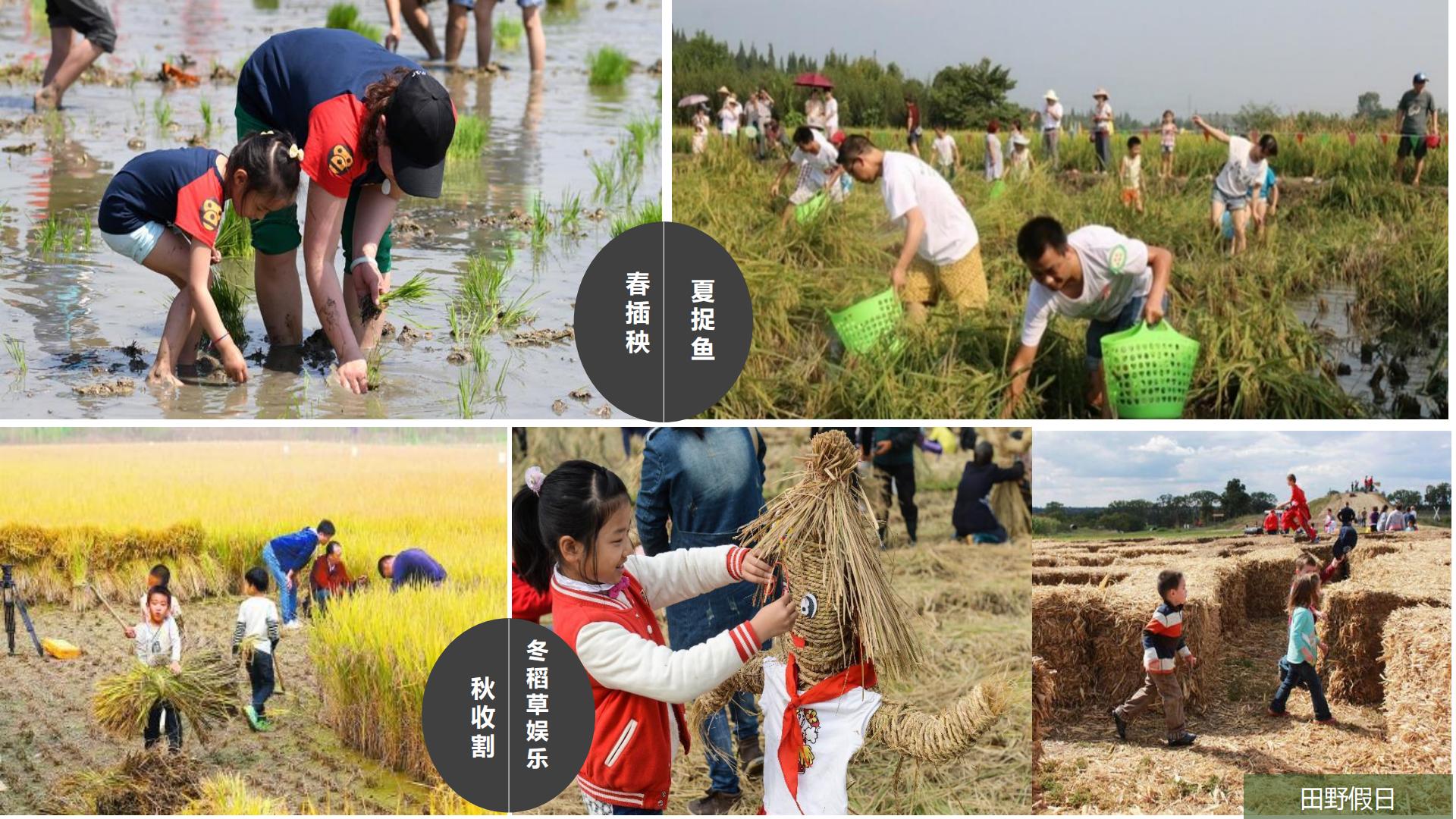图片[112]-水富心寿桃源田园综合体总体规划方案文本 - 由甫网-由甫网